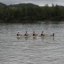 Head of the Tennessee Regatta