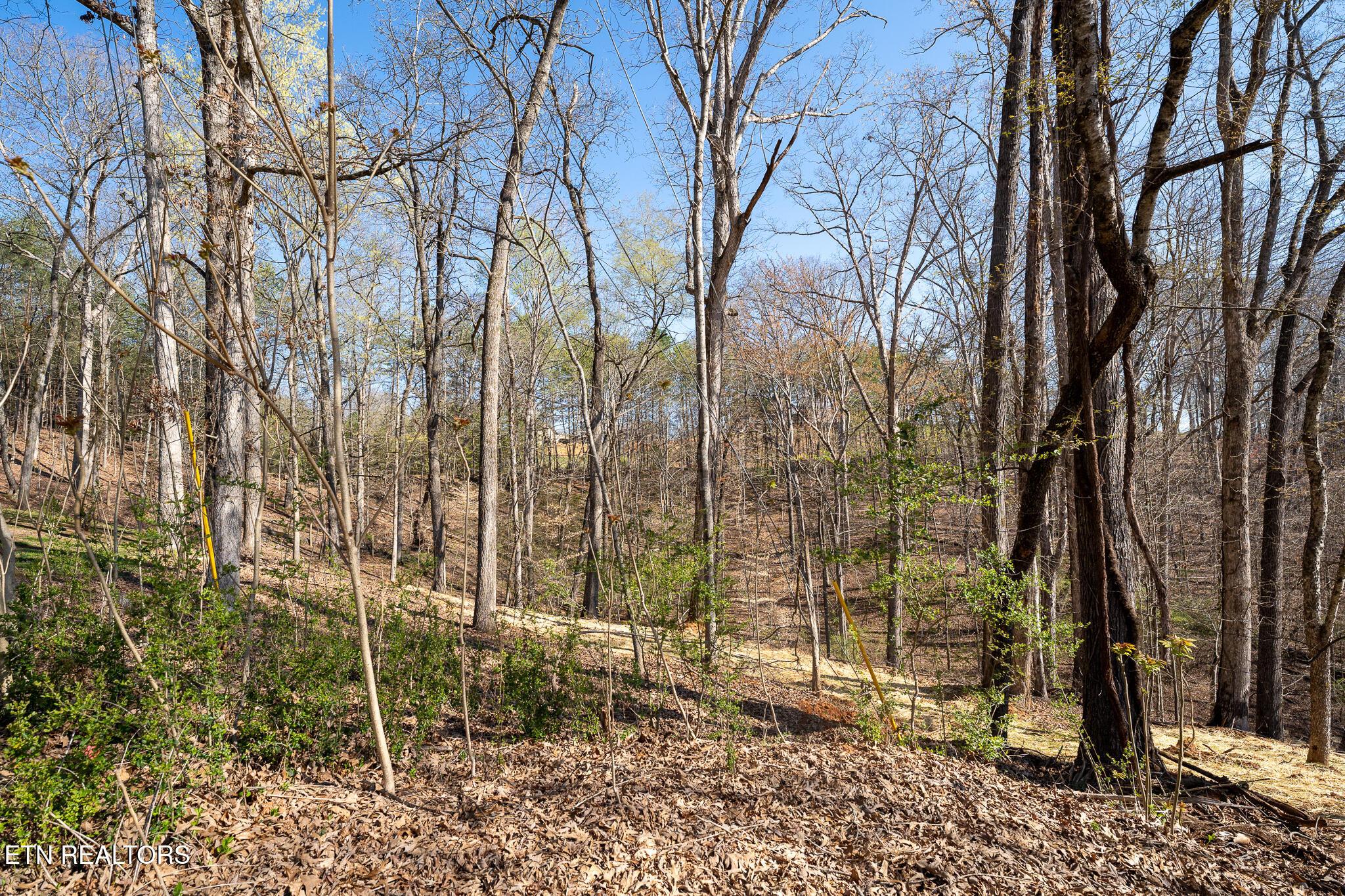 Fort Loudoun and Tellico Lake Real Estate - Image# 5