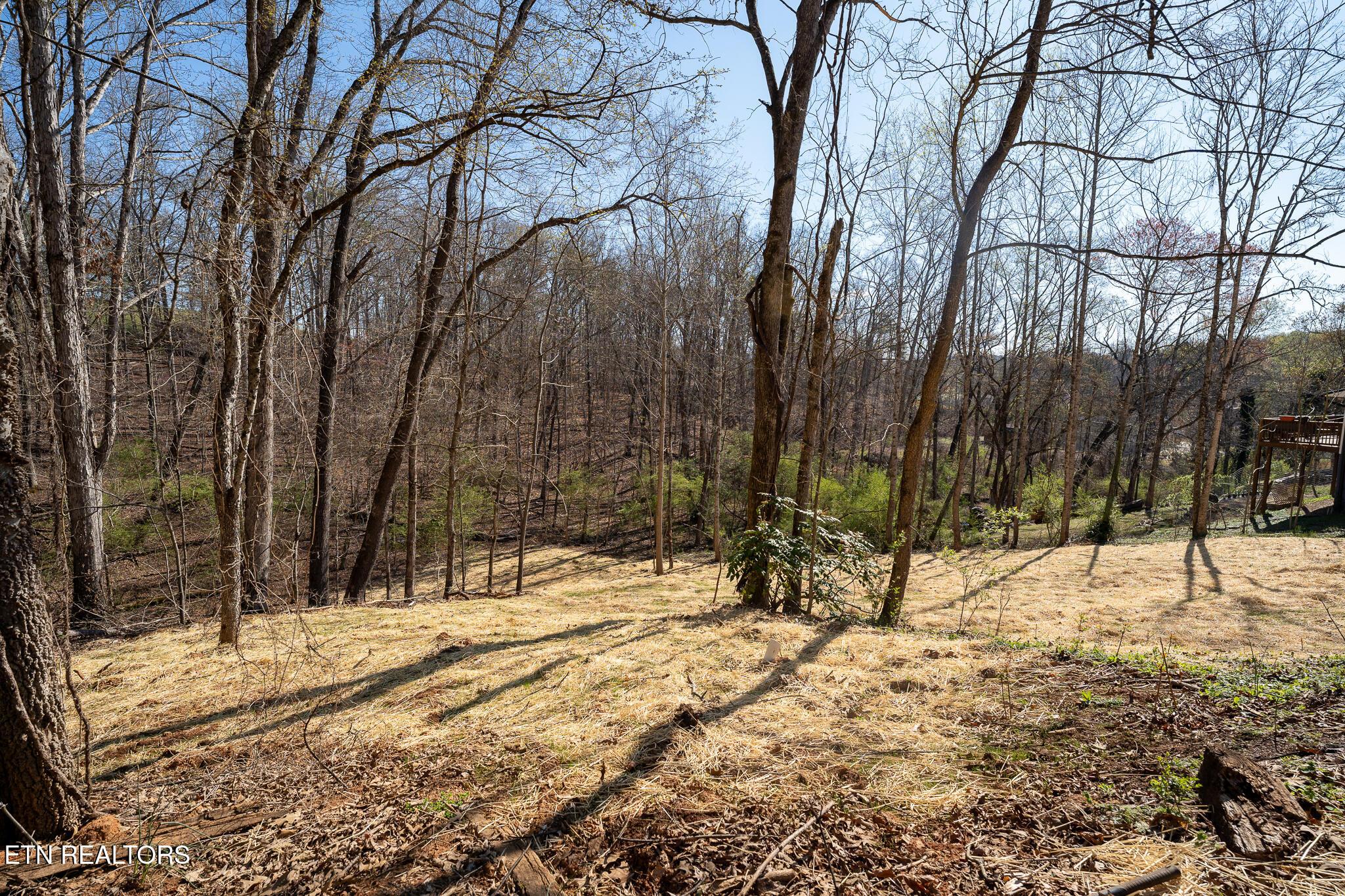 Fort Loudoun and Tellico Lake Real Estate - Image# 11