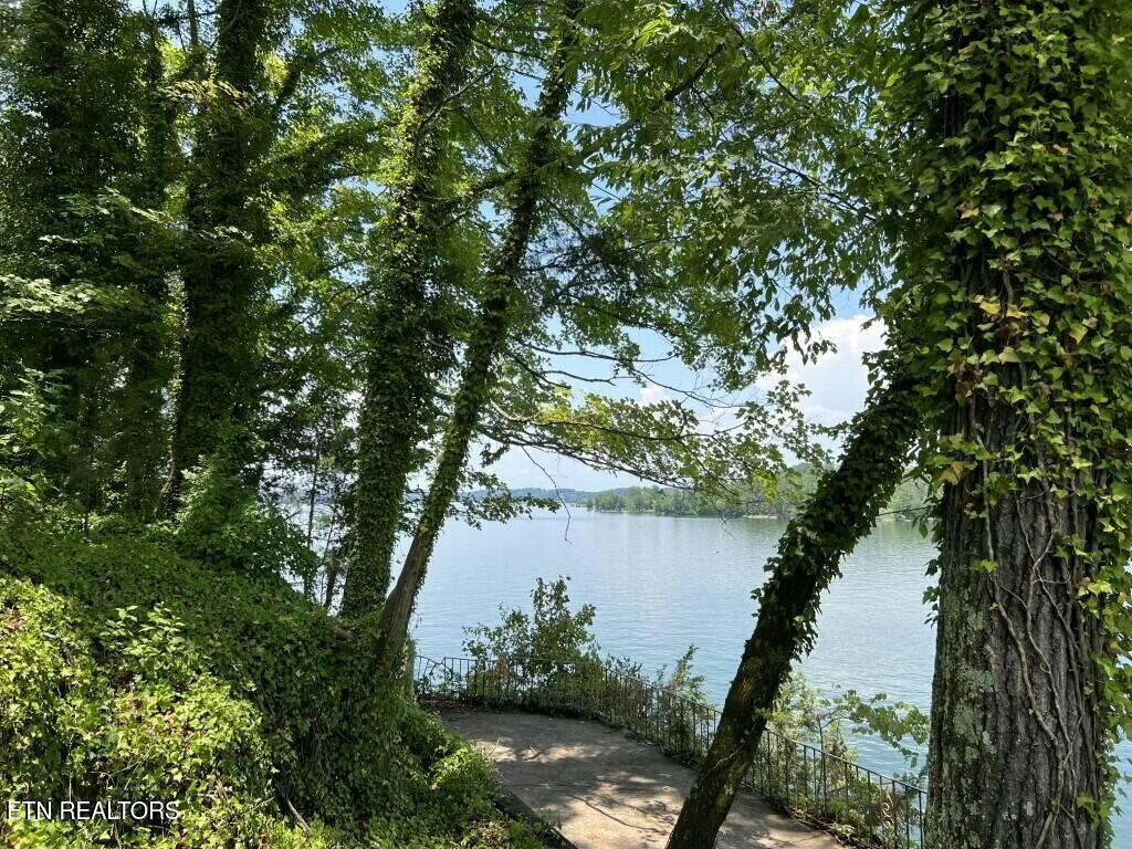 Fort Loudoun and Tellico Lake Real Estate - Image# 5