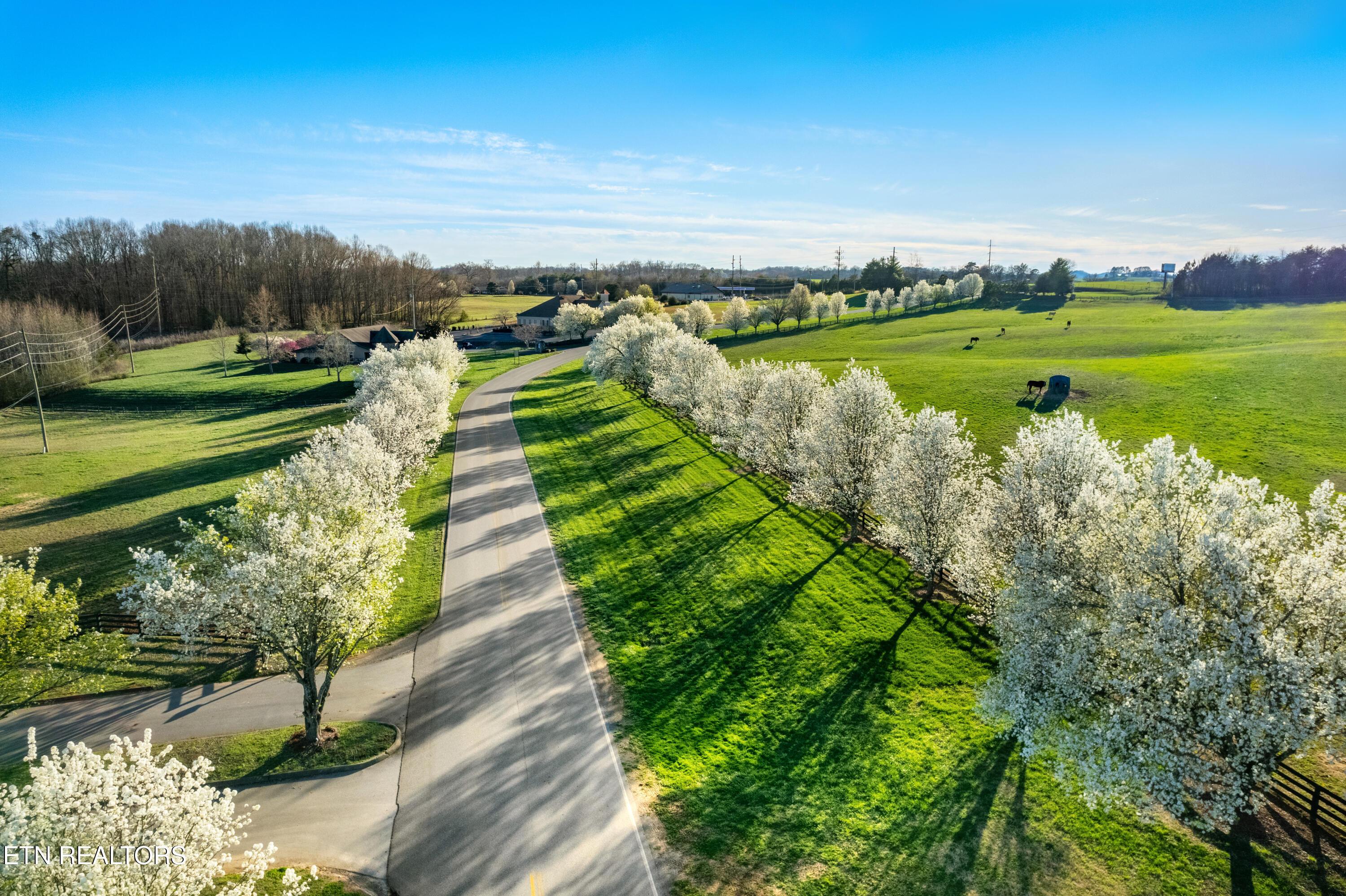 Fort Loudoun and Tellico Lake Real Estate - Image# 77