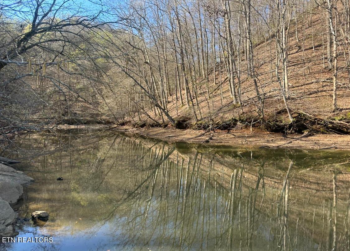 Fort Loudoun and Tellico Lake Real Estate - Image# 6