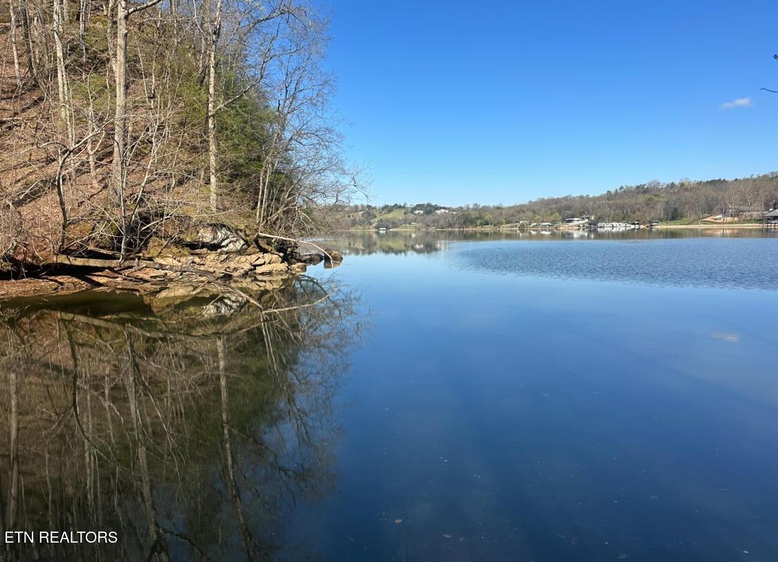 Fort Loudoun and Tellico Lake Real Estate - Image# 8