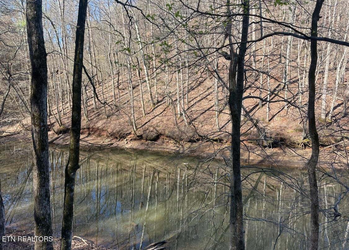 Fort Loudoun and Tellico Lake Real Estate - Image# 12