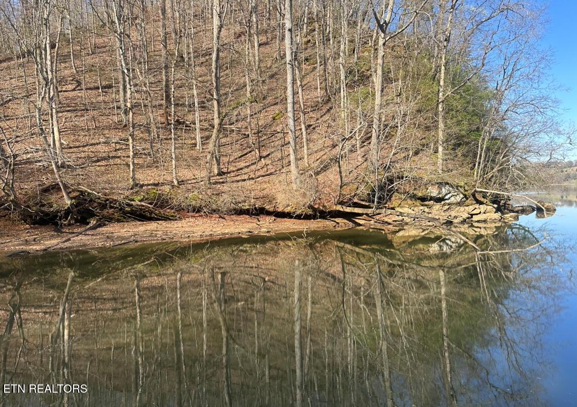Fort Loudoun and Tellico Lake Real Estate - Image# 4