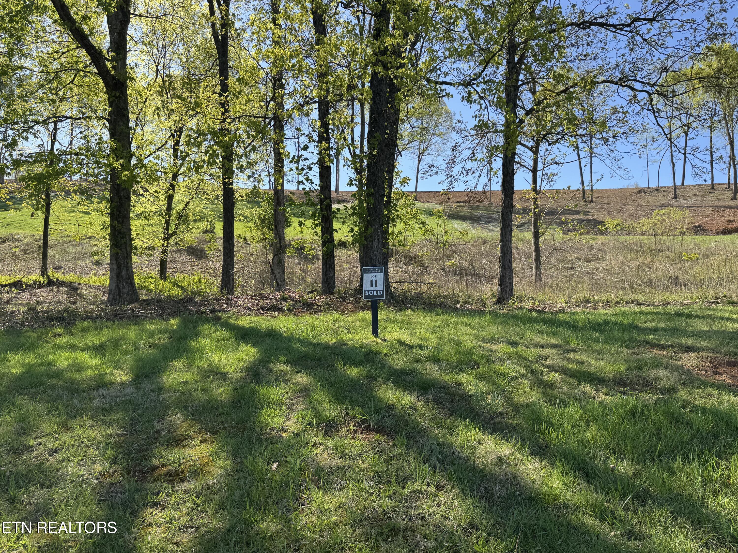 1031 Black Cove Lane, Loudon, TN - Fort Loudoun and Tellico Lake Real Estate - Image# 2