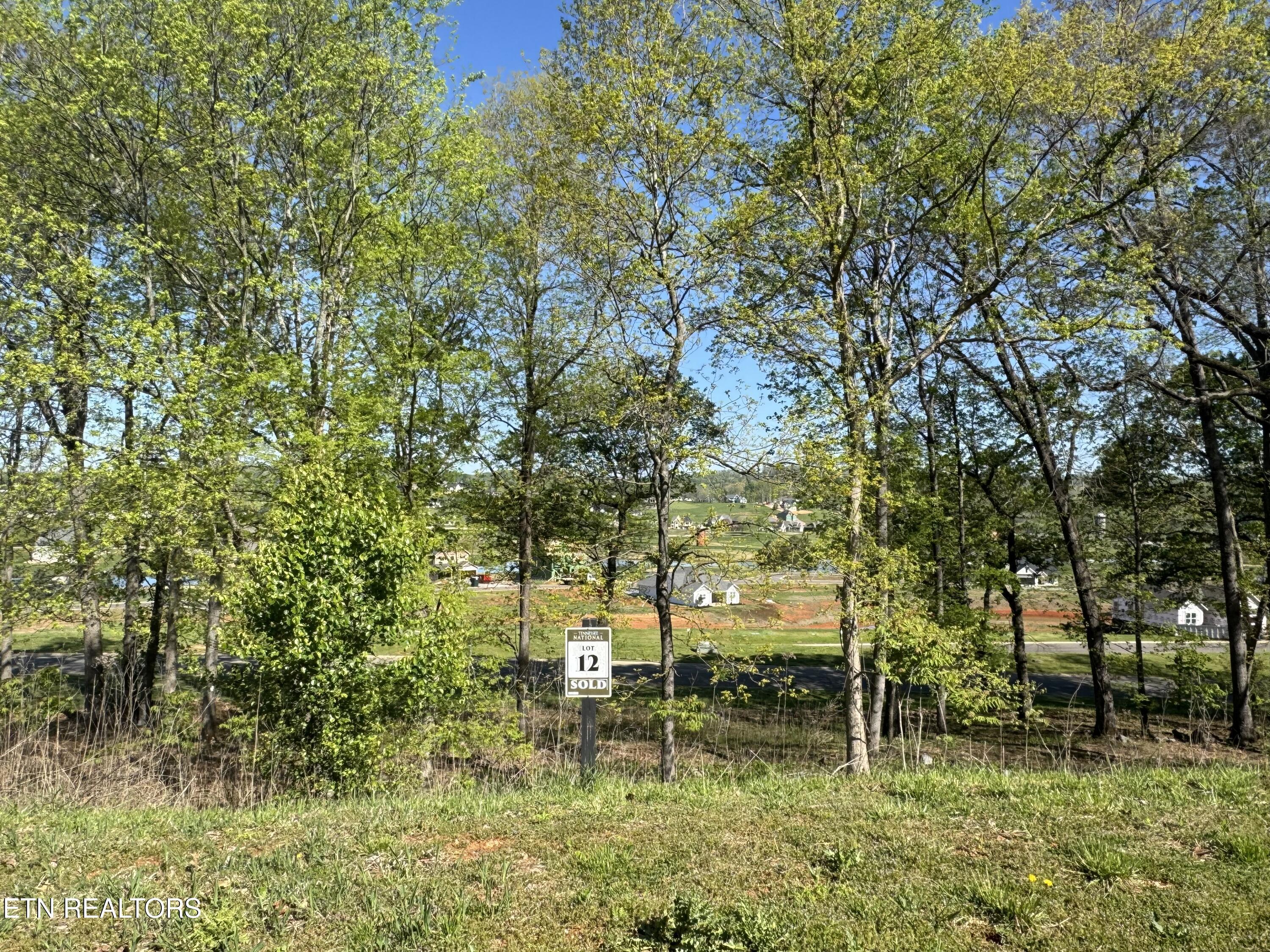 1097 Black Cove Lane, Loudon, TN - Fort Loudoun and Tellico Lake Real Estate - Image# 6