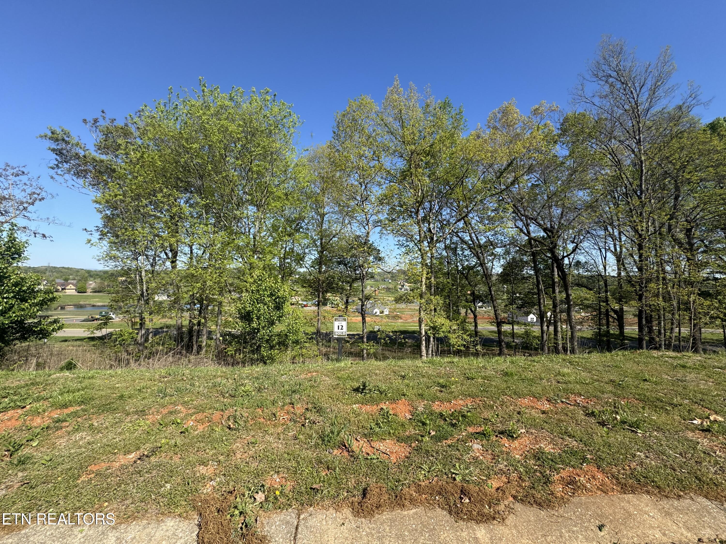 1097 Black Cove Lane, Loudon, TN - Fort Loudoun and Tellico Lake Real Estate - Image# 8