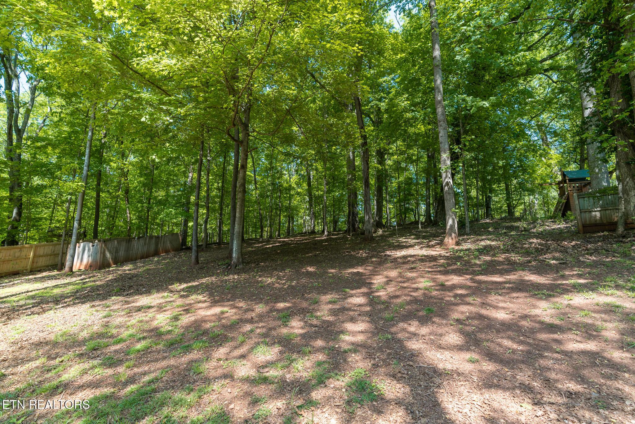 5121 Buckhead Tr, Knoxville, TN - Fort Loudoun and Tellico Lake Real Estate - Image# 58
