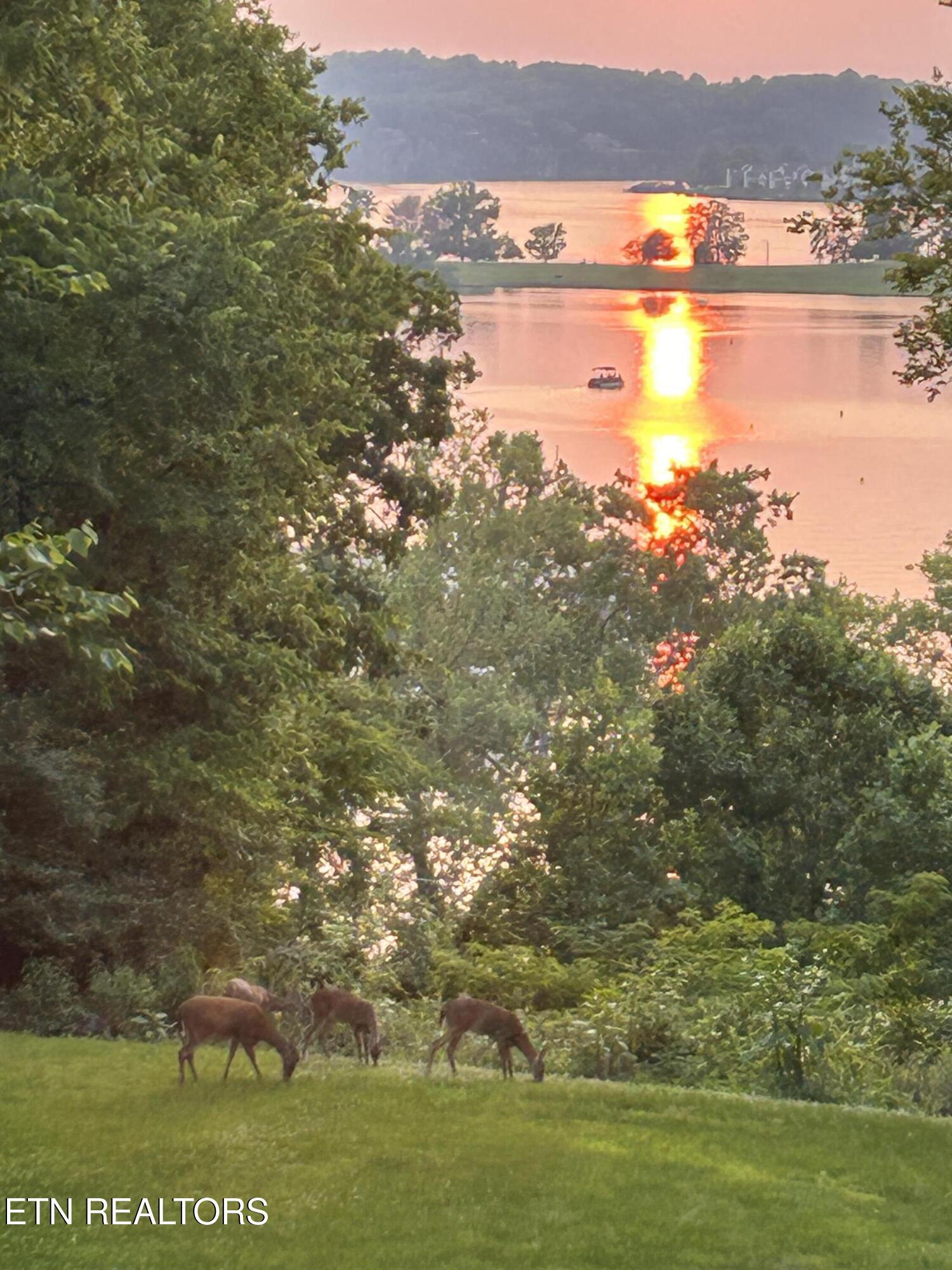 2929 Louisville Boatdock Rd, Louisville, TN - Fort Loudoun and Tellico Lake Real Estate - Image# 49