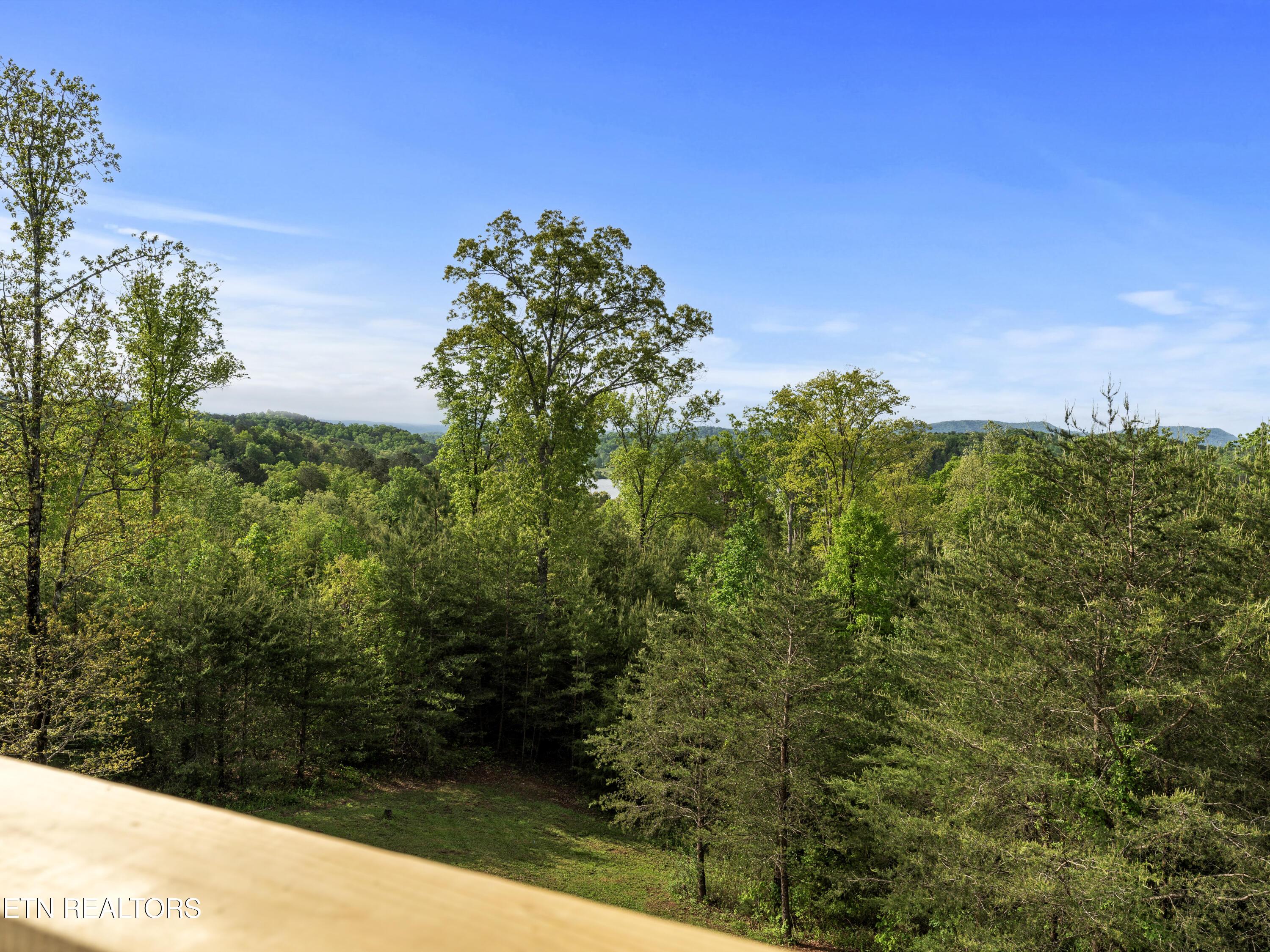 155 George THomas Rd, Vonore, TN - Fort Loudoun and Tellico Lake Real Estate - Image# 34