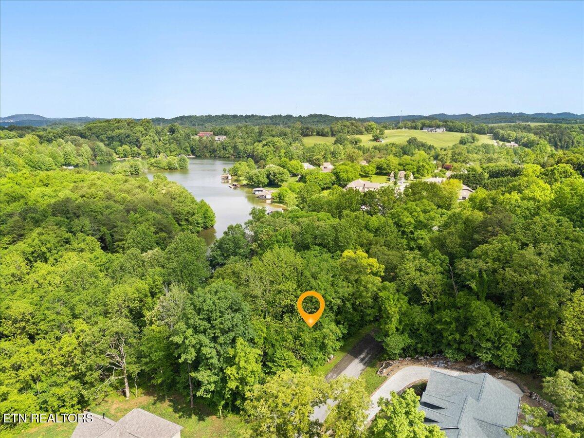 Fort Loudoun and Tellico Lake Real Estate - Image# 2
