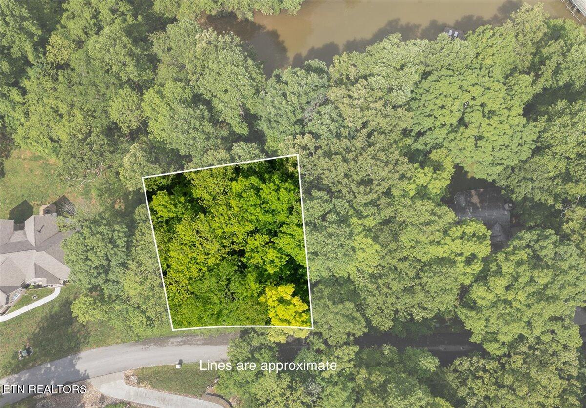 Fort Loudoun and Tellico Lake Real Estate - Image# 3