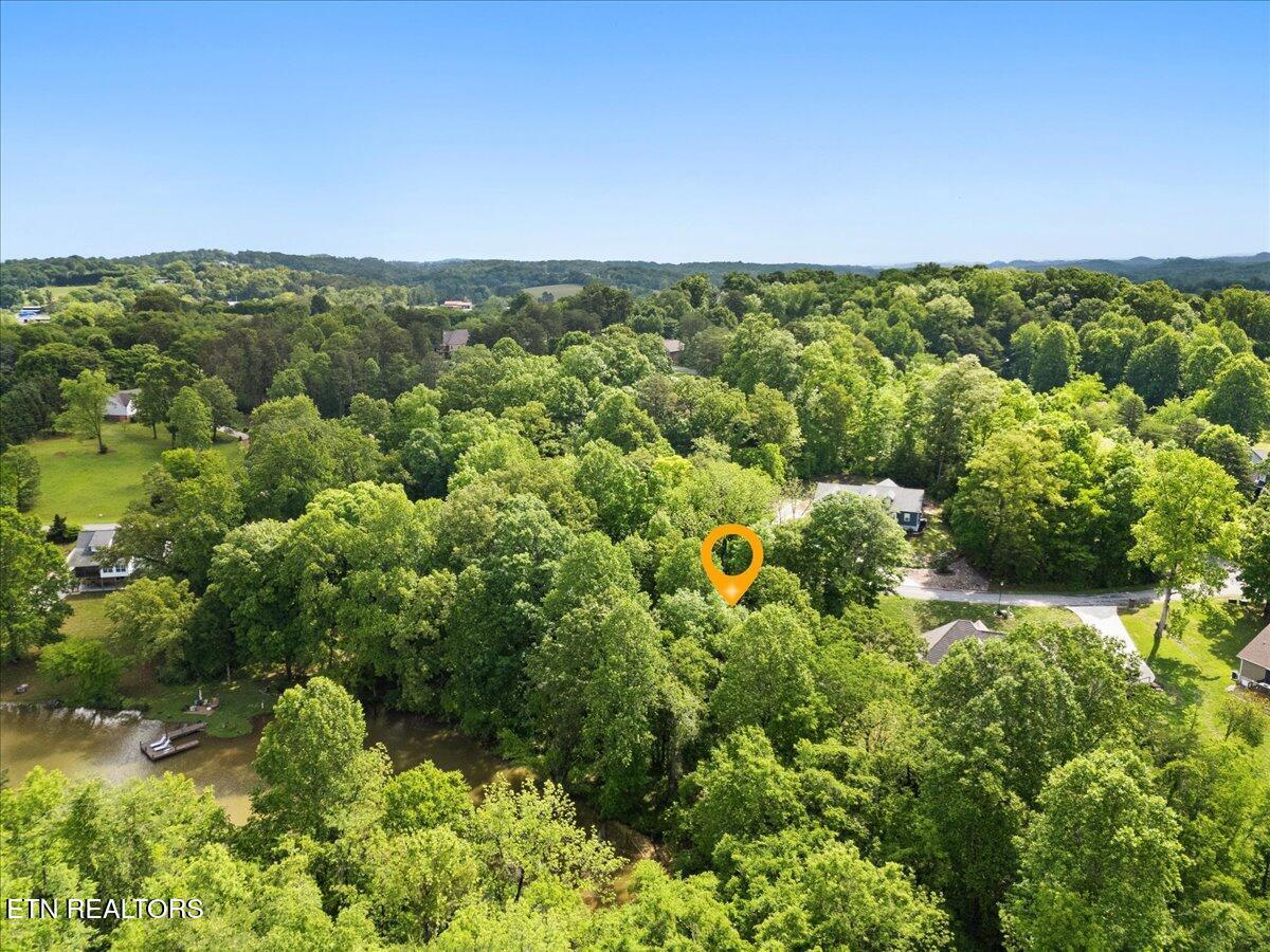 Fort Loudoun and Tellico Lake Real Estate - Image# 5