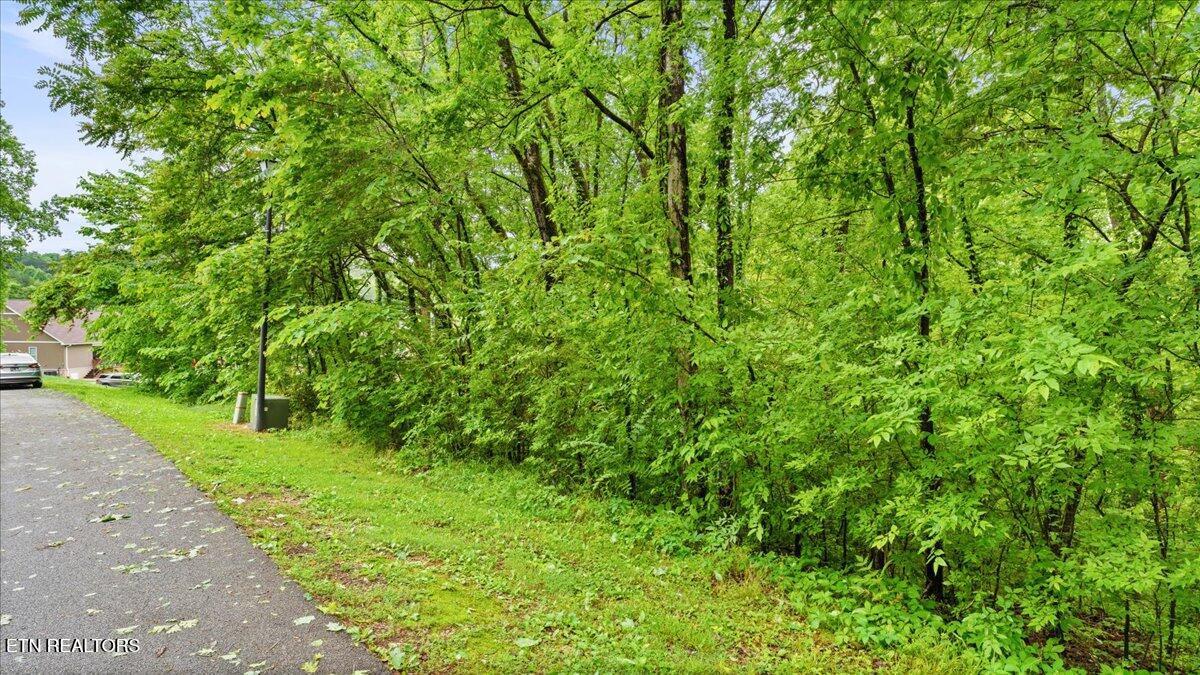 Fort Loudoun and Tellico Lake Real Estate - Image# 6