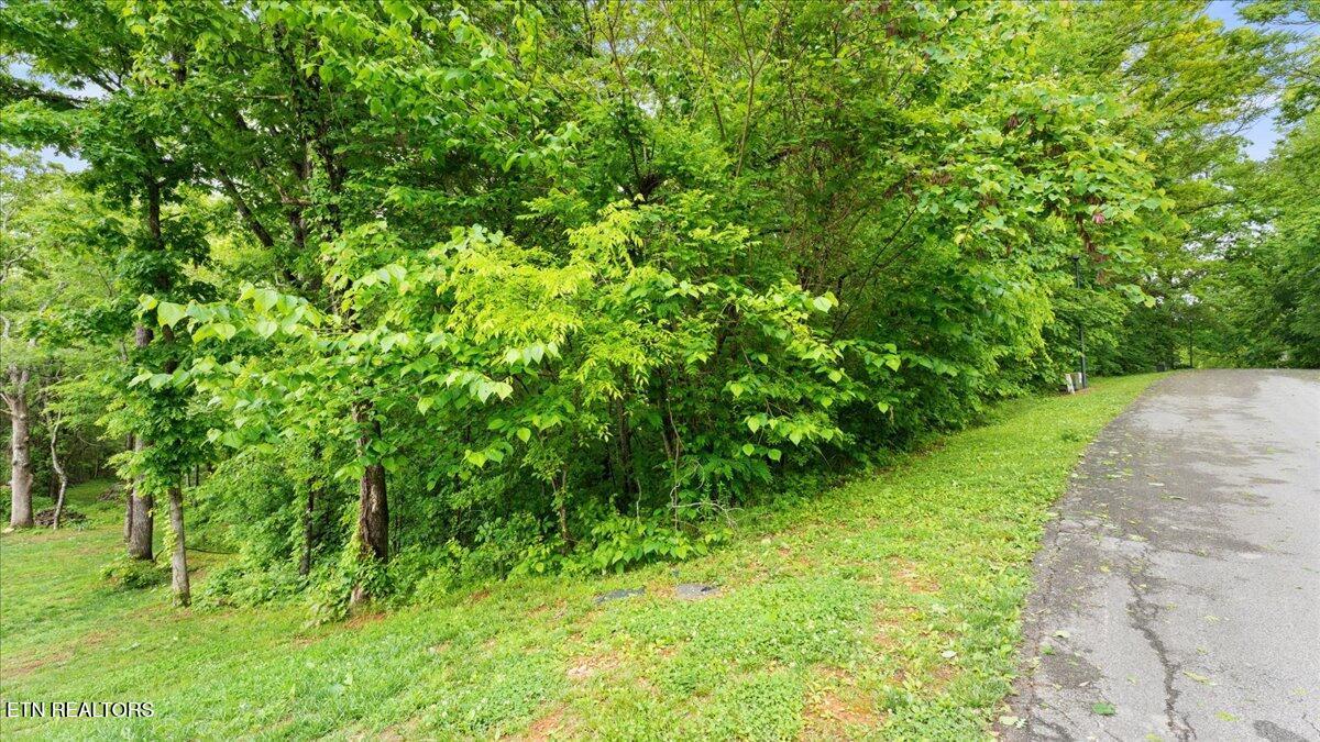 Fort Loudoun and Tellico Lake Real Estate - Image# 7