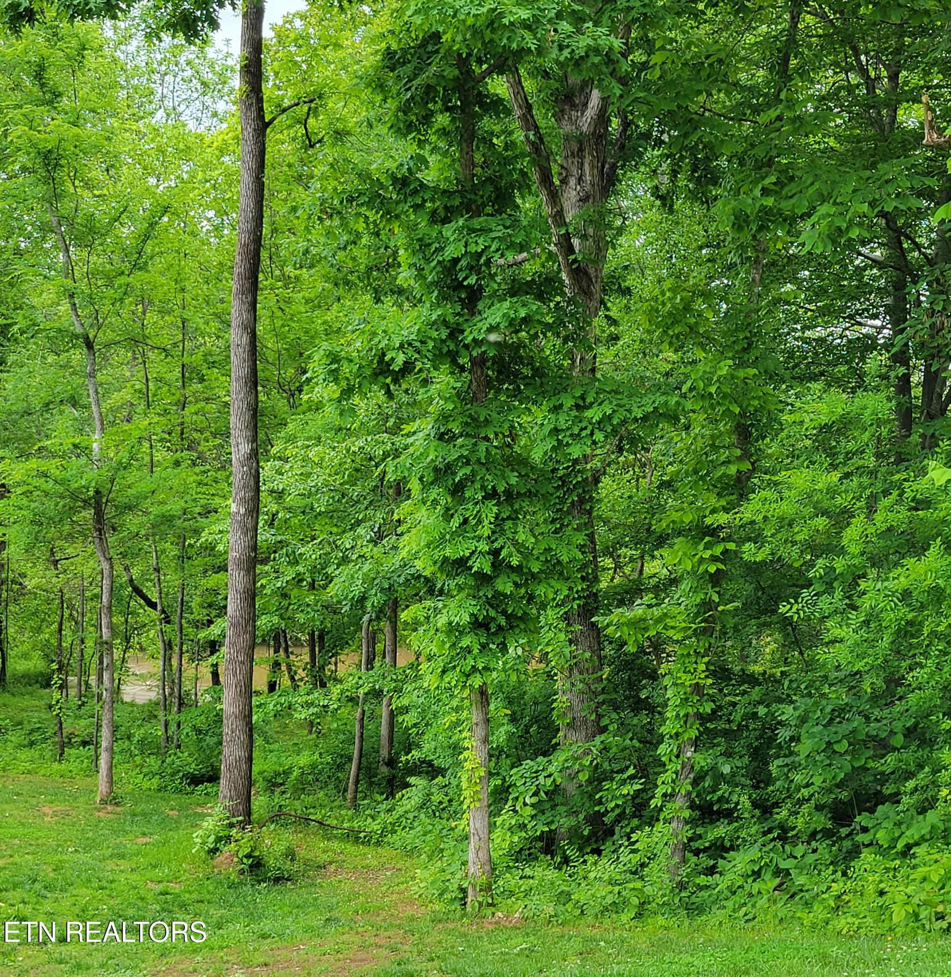 Fort Loudoun and Tellico Lake Real Estate - Image# 9