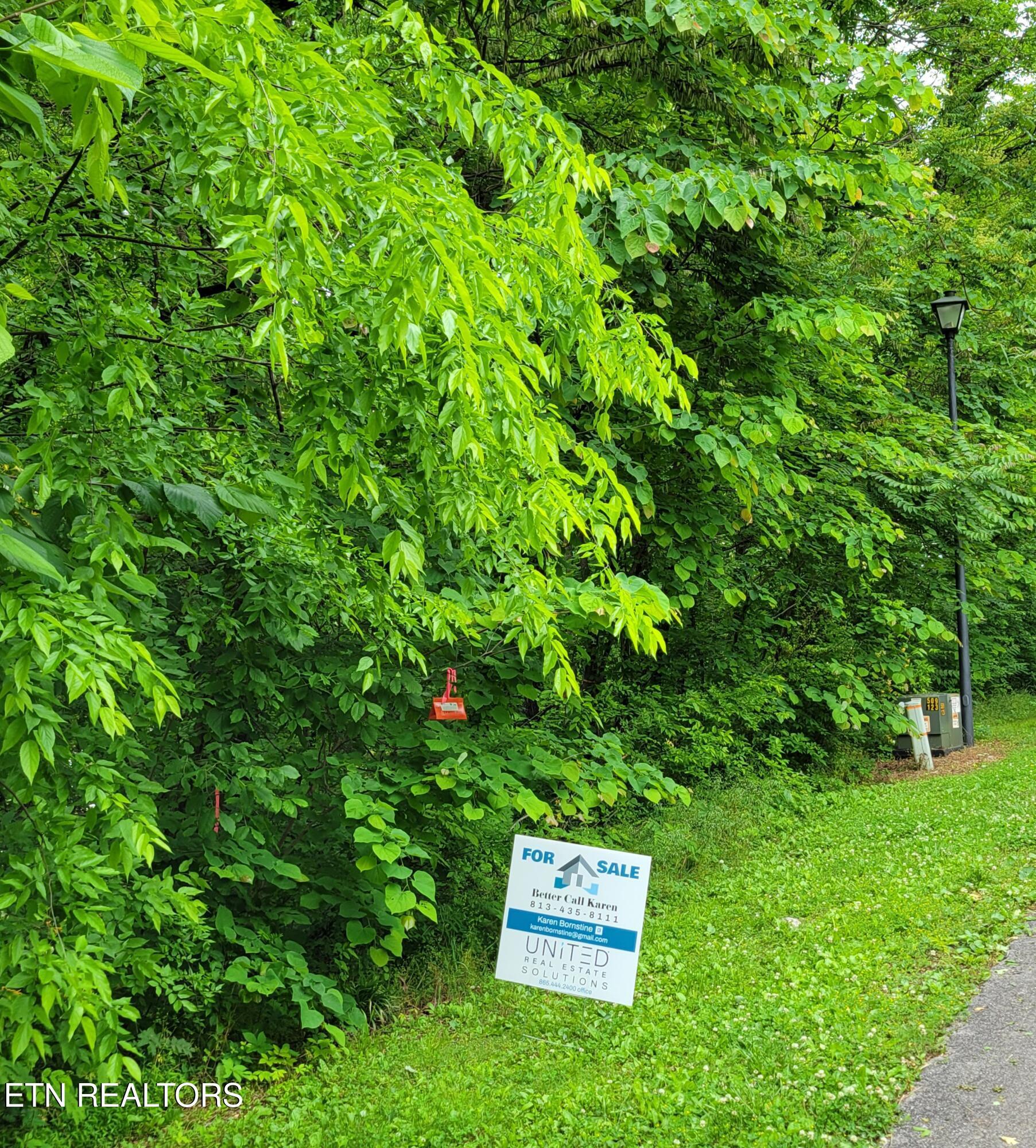 Fort Loudoun and Tellico Lake Real Estate - Image# 10