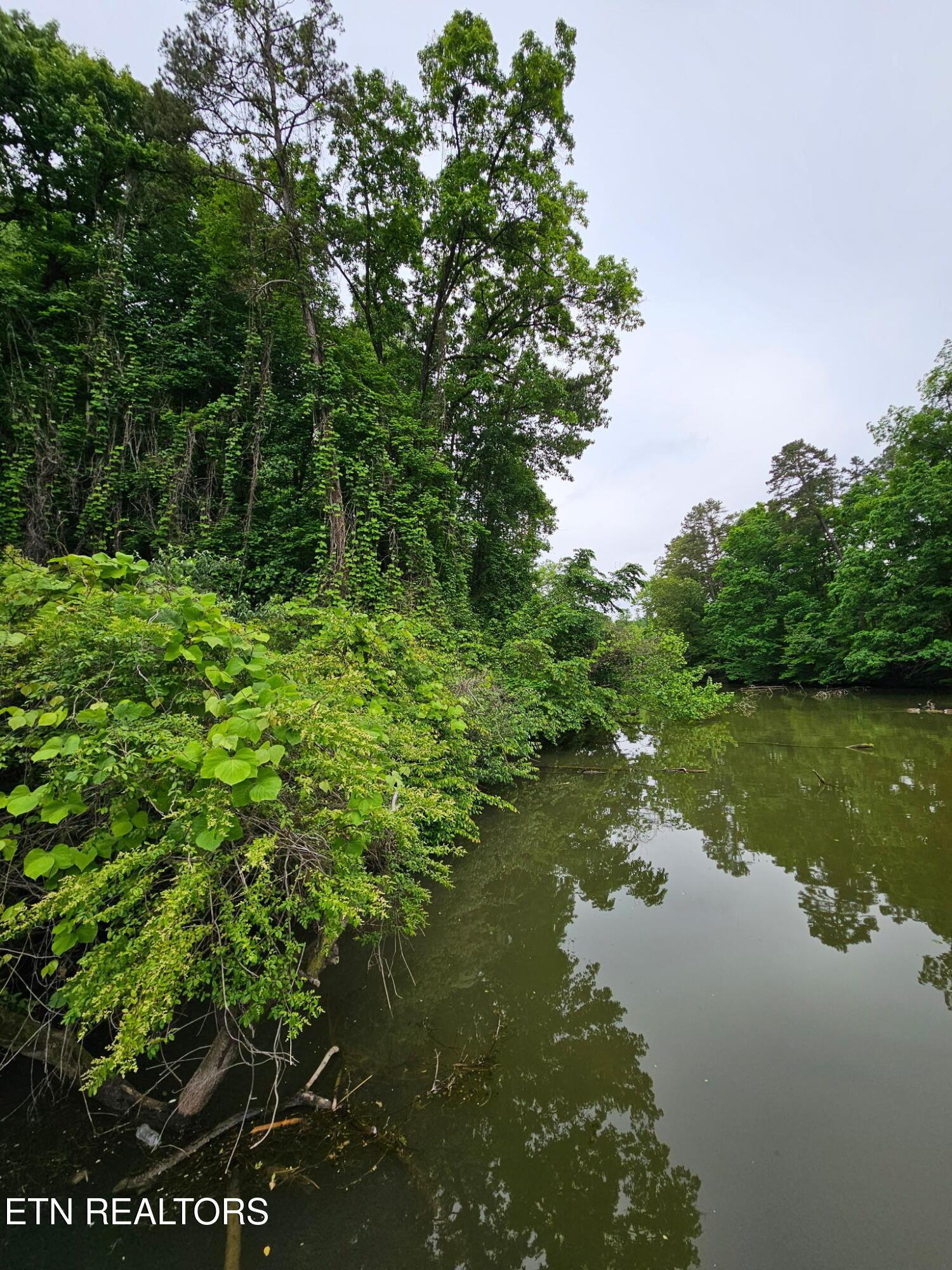 10009 Casa Real Cove, Knoxville, TN - Fort Loudoun and Tellico Lake Real Estate - Image# 46
