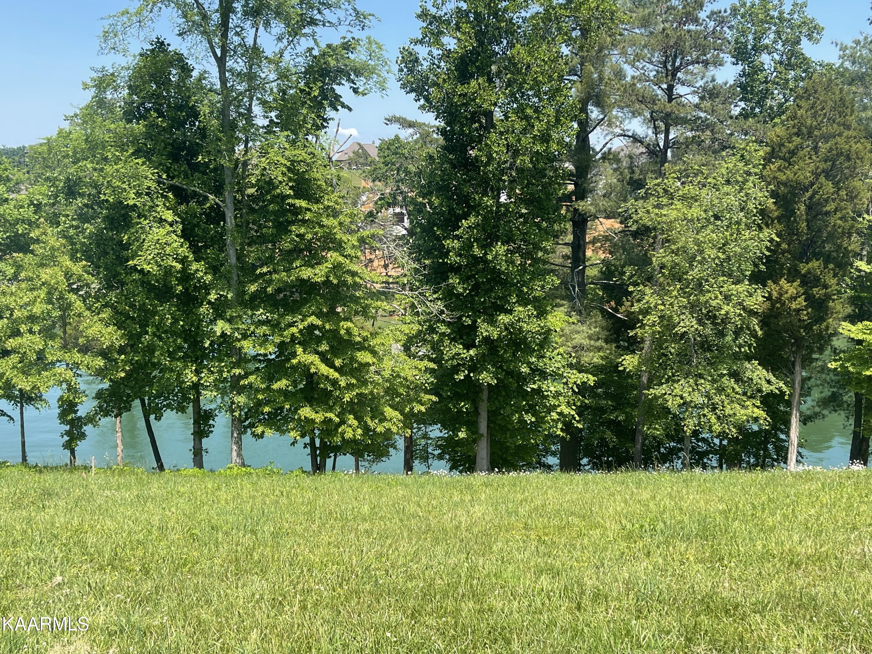 Fort Loudoun and Tellico Lake Real Estate - Image# 14