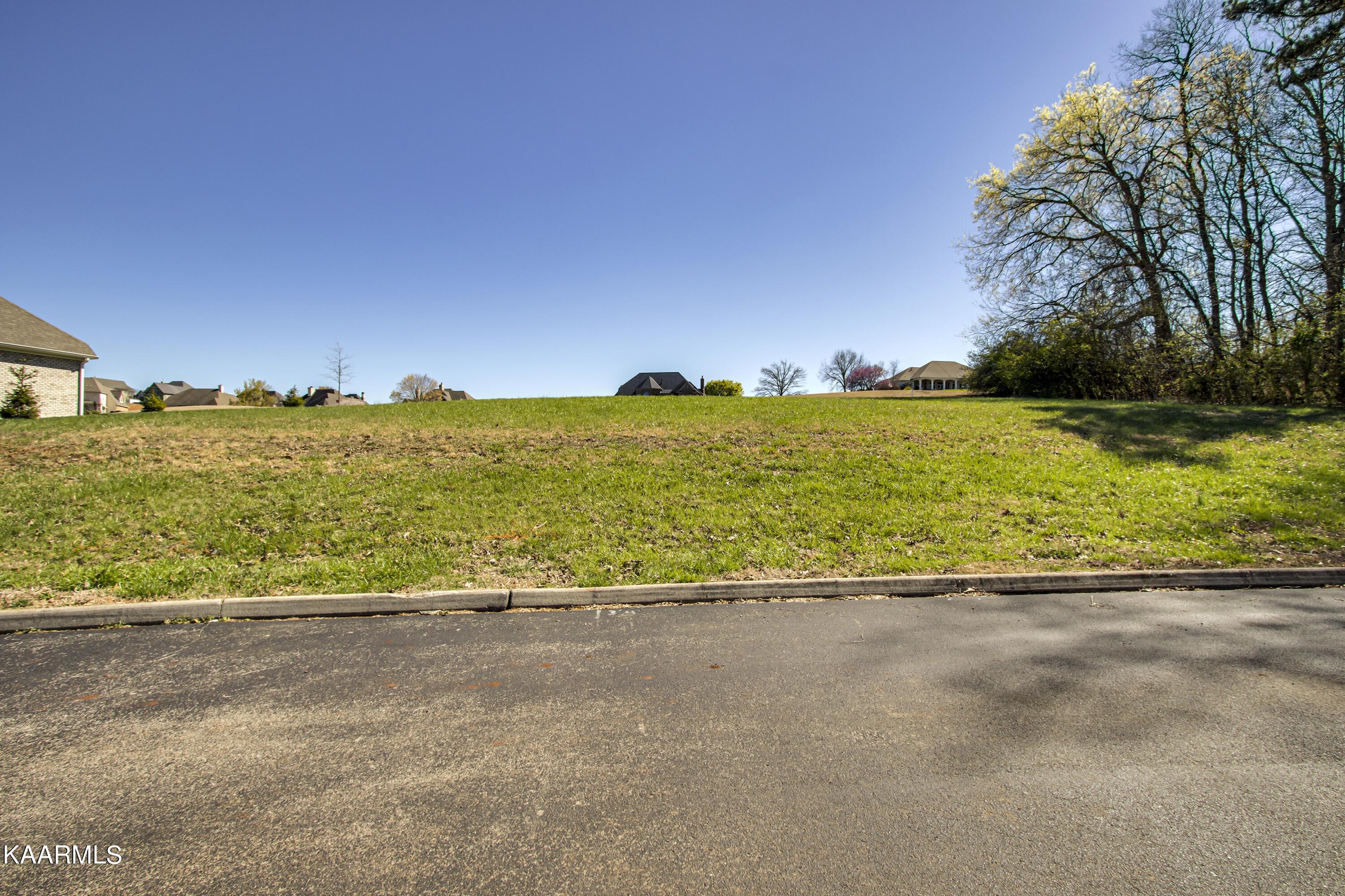 330 Pineberry Drive, Vonore, TN - Fort Loudoun and Tellico Lake Real Estate - Image# 4