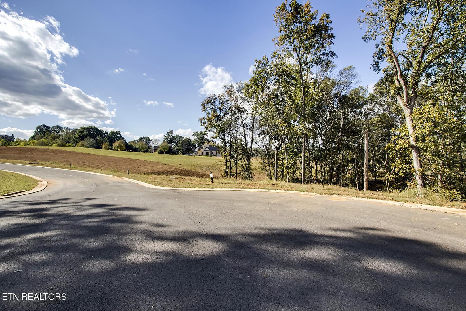 173 Keho Court, Loudon, TN - Fort Loudoun and Tellico Lake Real Estate - Image# 4