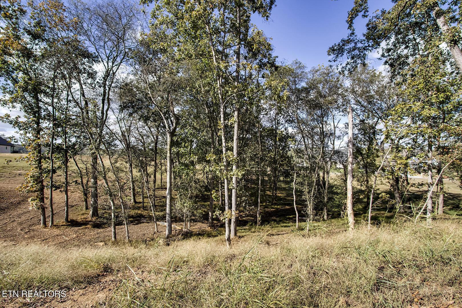 173 Keho Court, Loudon, TN - Fort Loudoun and Tellico Lake Real Estate - Image# 7