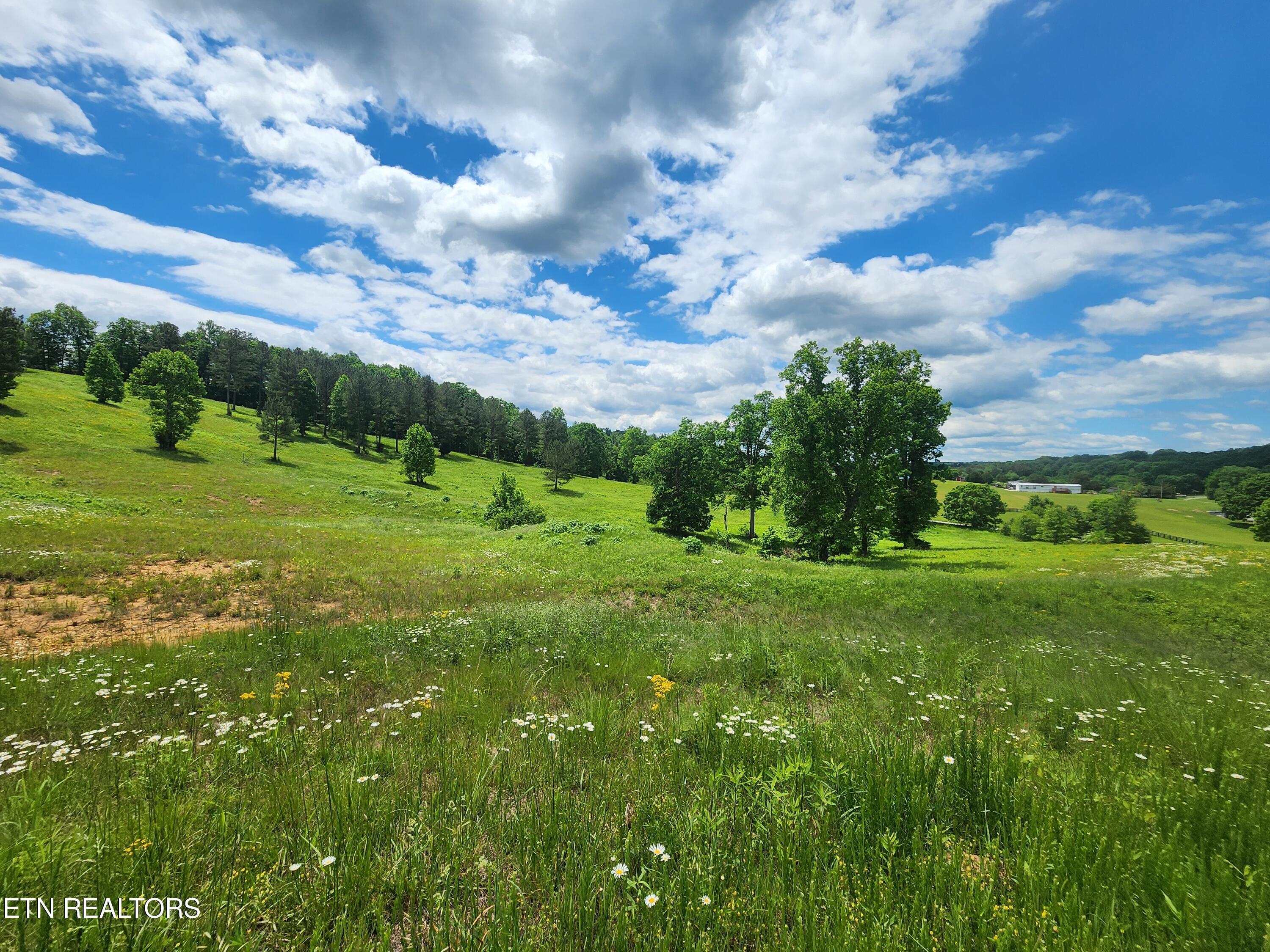 Fort Loudoun and Tellico Lake Real Estate - Image# 1