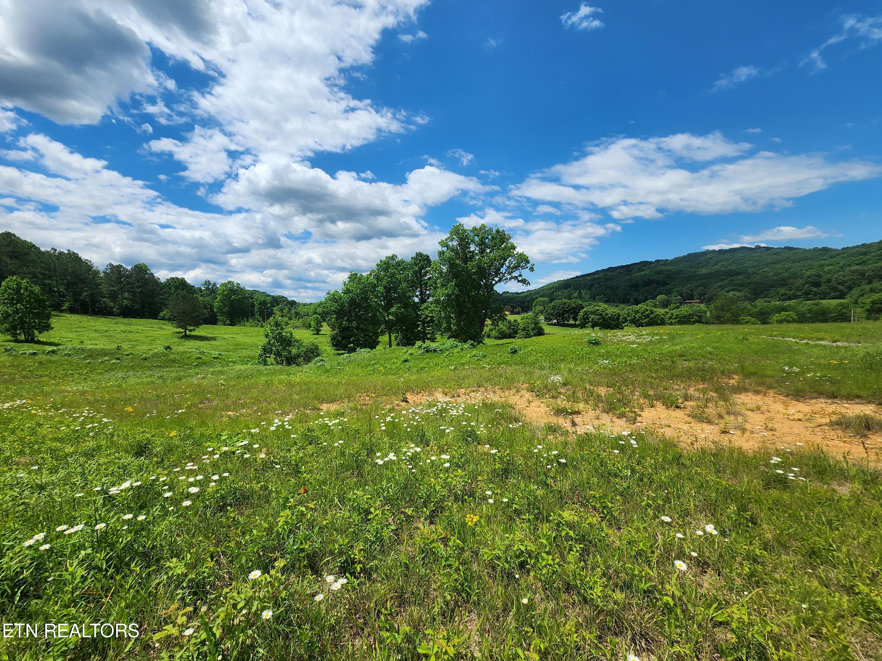 Fort Loudoun and Tellico Lake Real Estate - Image# 3
