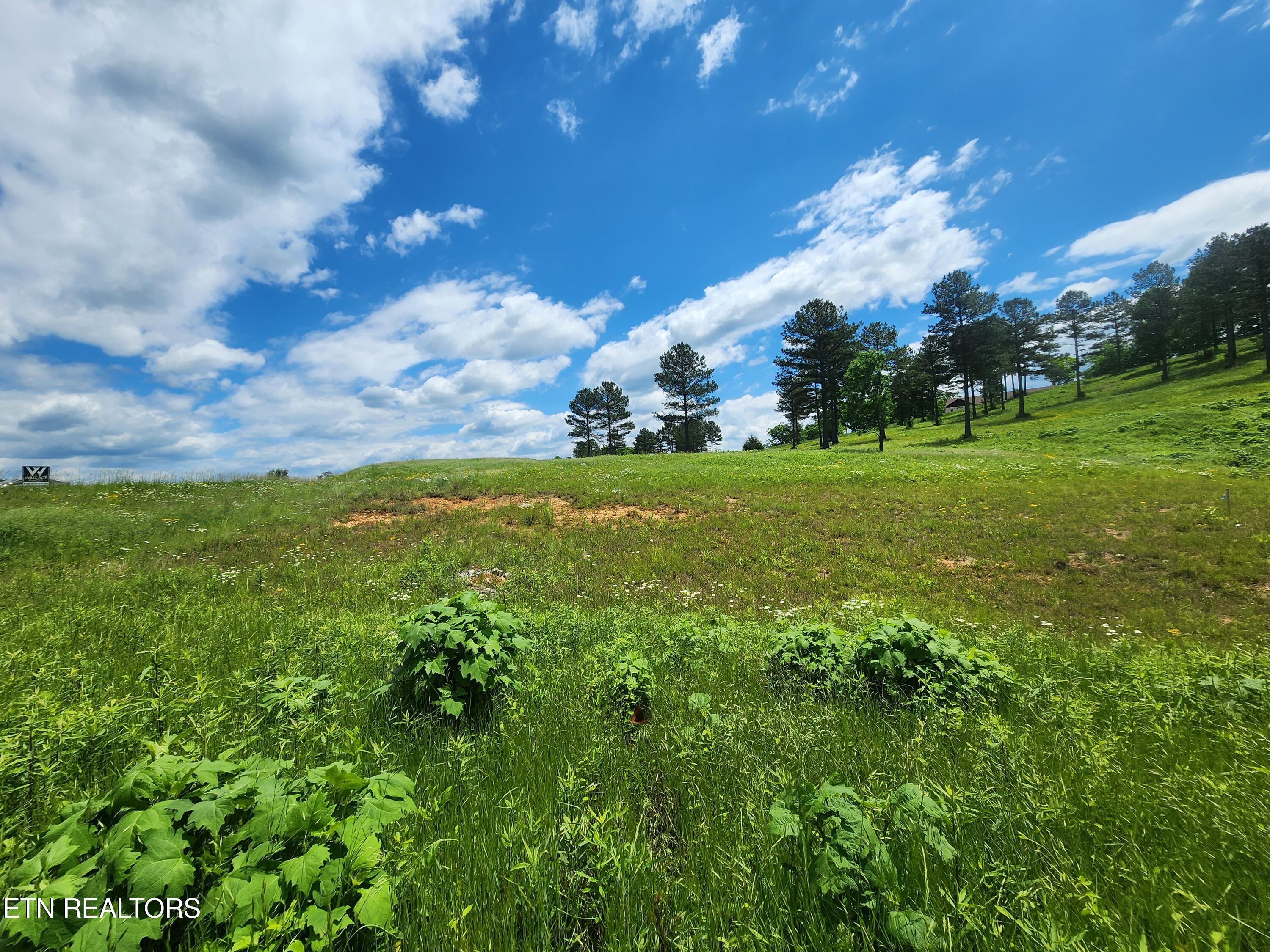 Fort Loudoun and Tellico Lake Real Estate - Image# 5