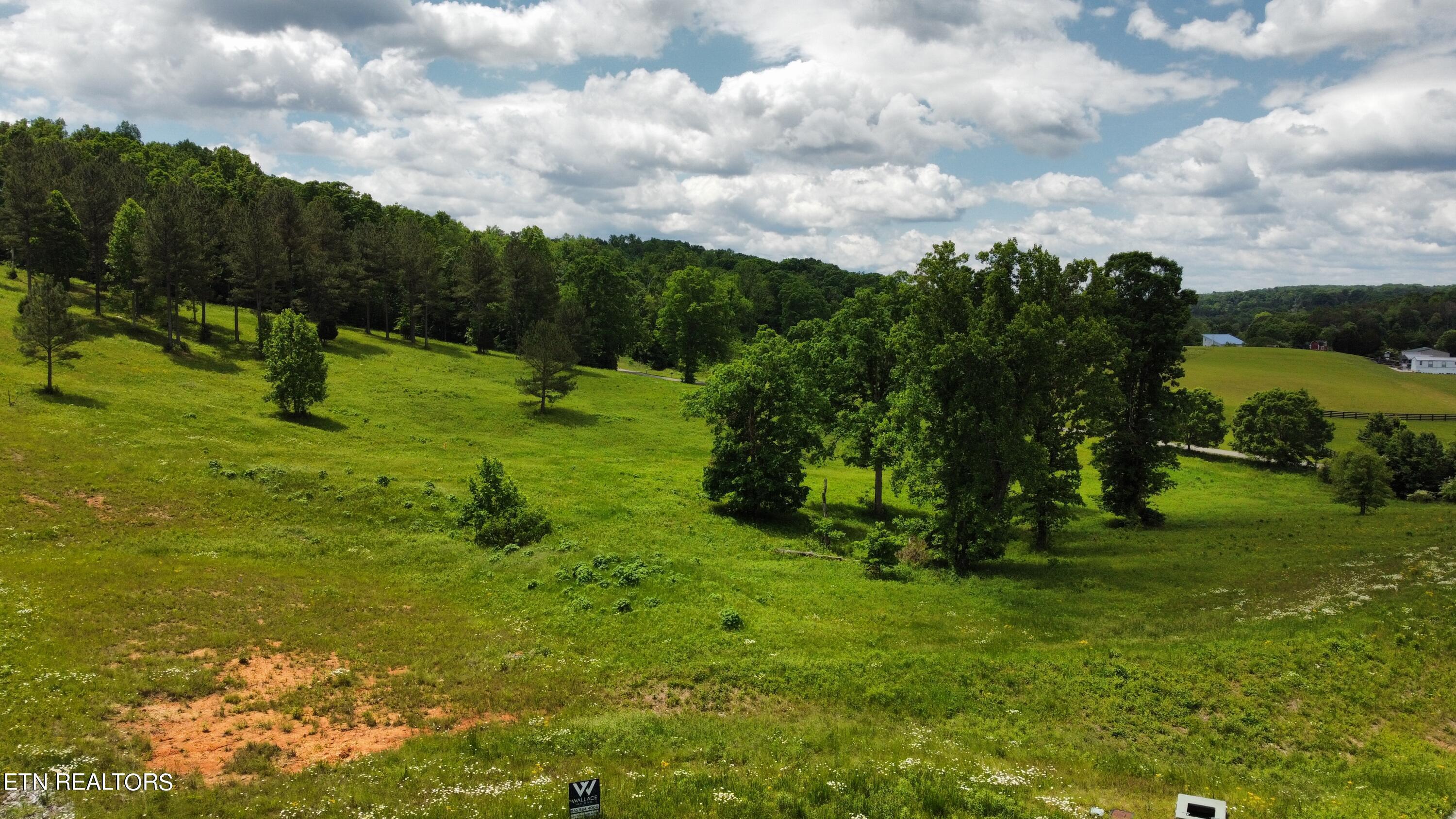 Fort Loudoun and Tellico Lake Real Estate - Image# 2