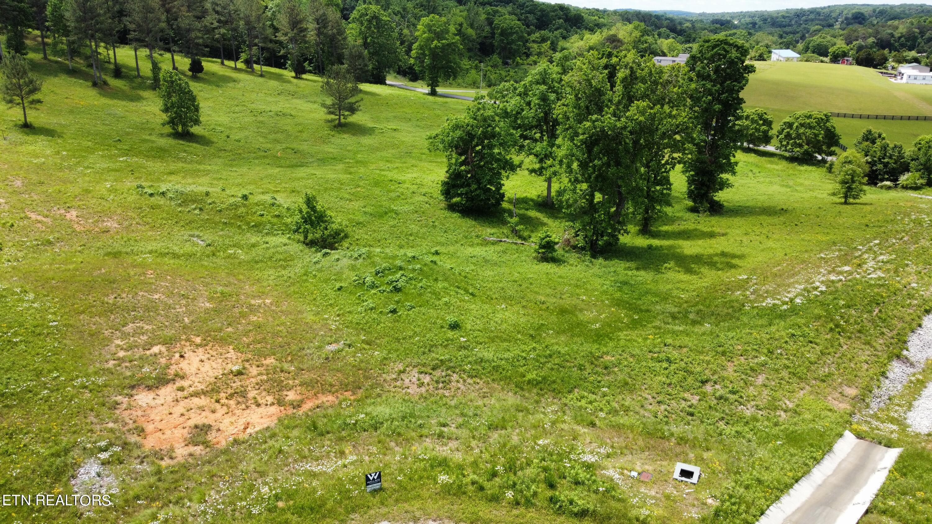 Fort Loudoun and Tellico Lake Real Estate - Image# 6