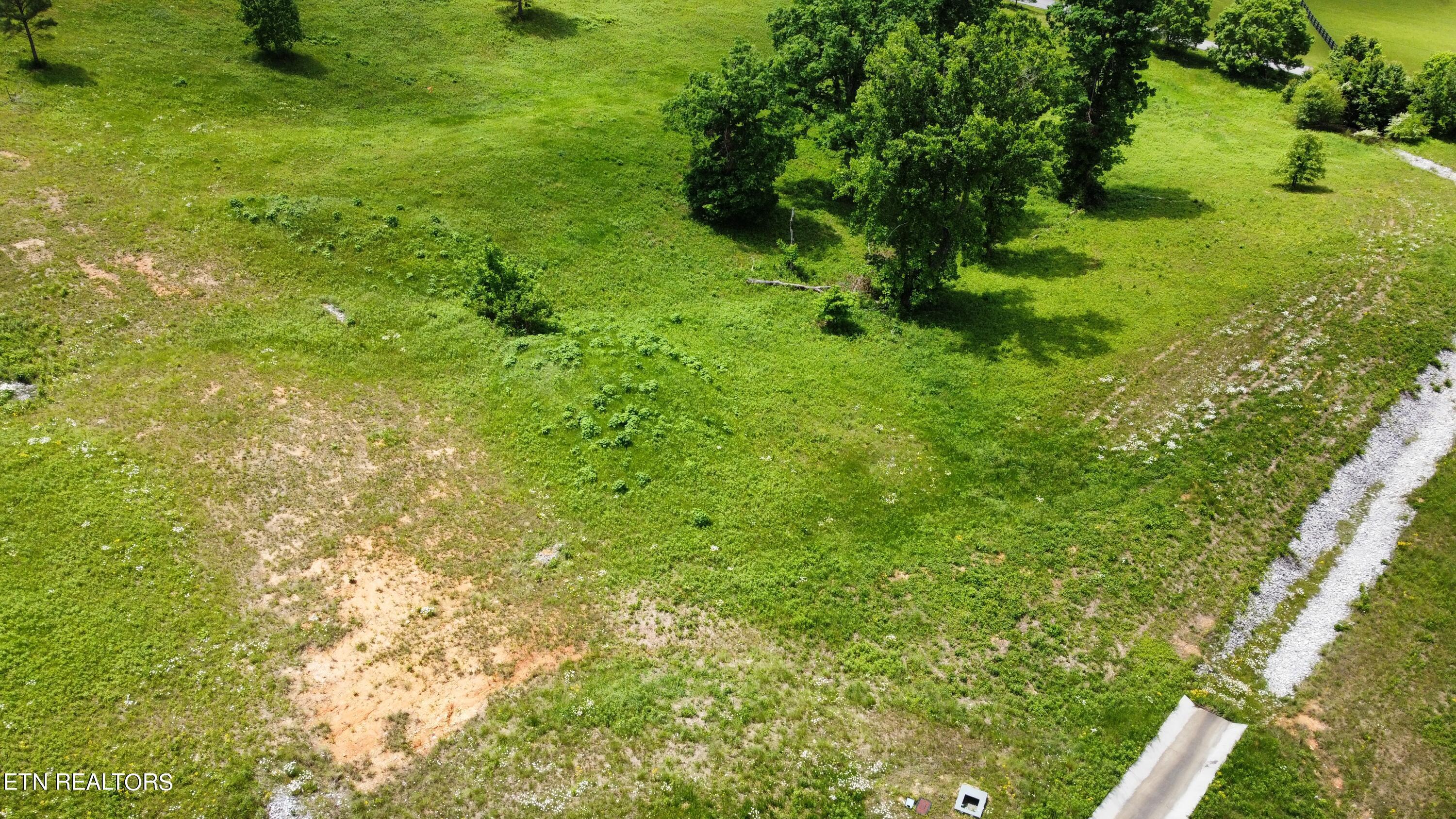 Fort Loudoun and Tellico Lake Real Estate - Image# 7