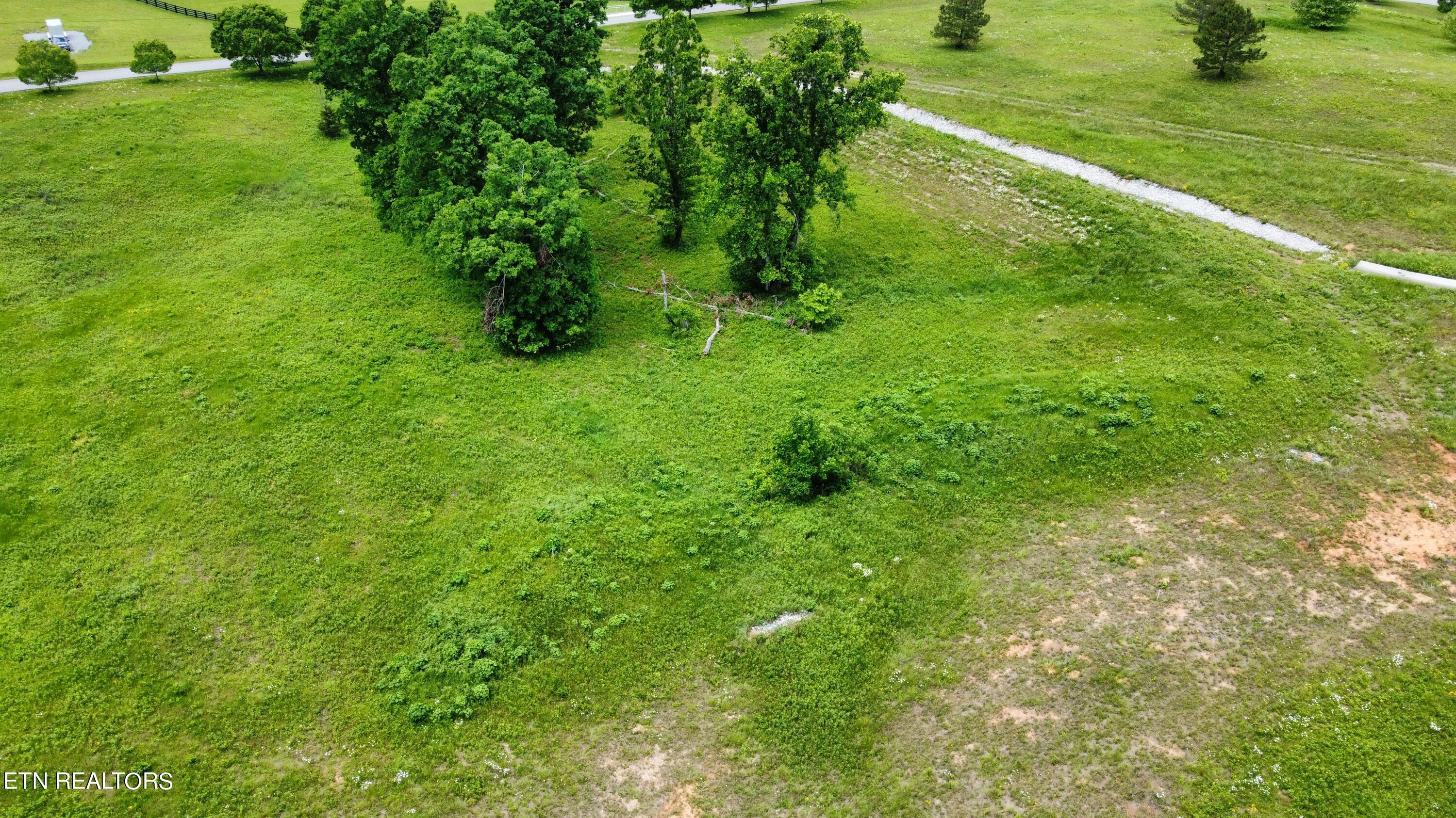 Fort Loudoun and Tellico Lake Real Estate - Image# 8