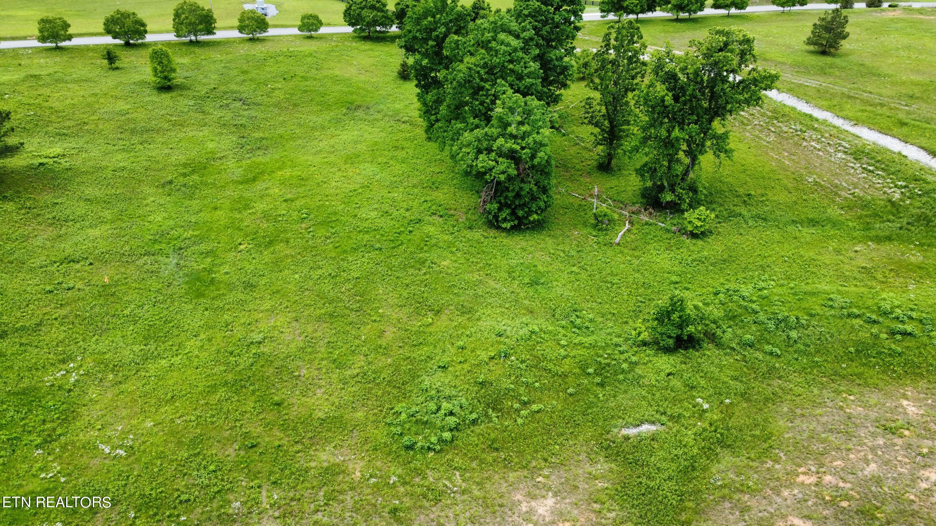 Fort Loudoun and Tellico Lake Real Estate - Image# 9