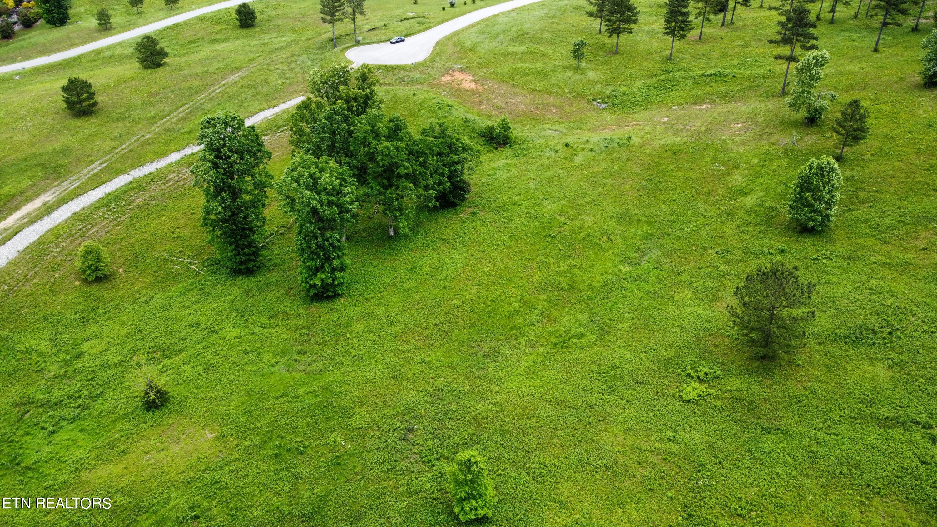 Fort Loudoun and Tellico Lake Real Estate - Image# 10