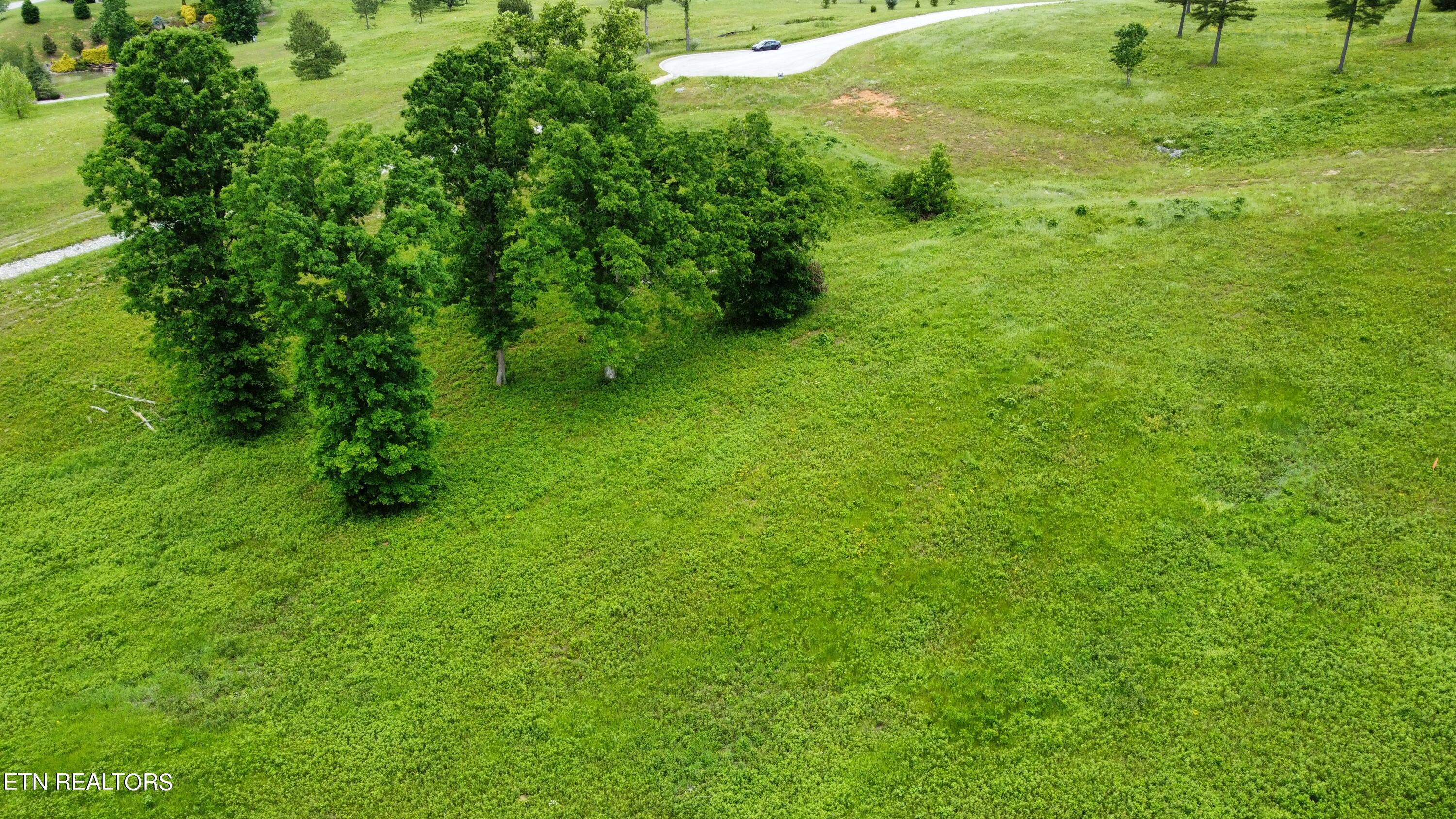 Fort Loudoun and Tellico Lake Real Estate - Image# 11