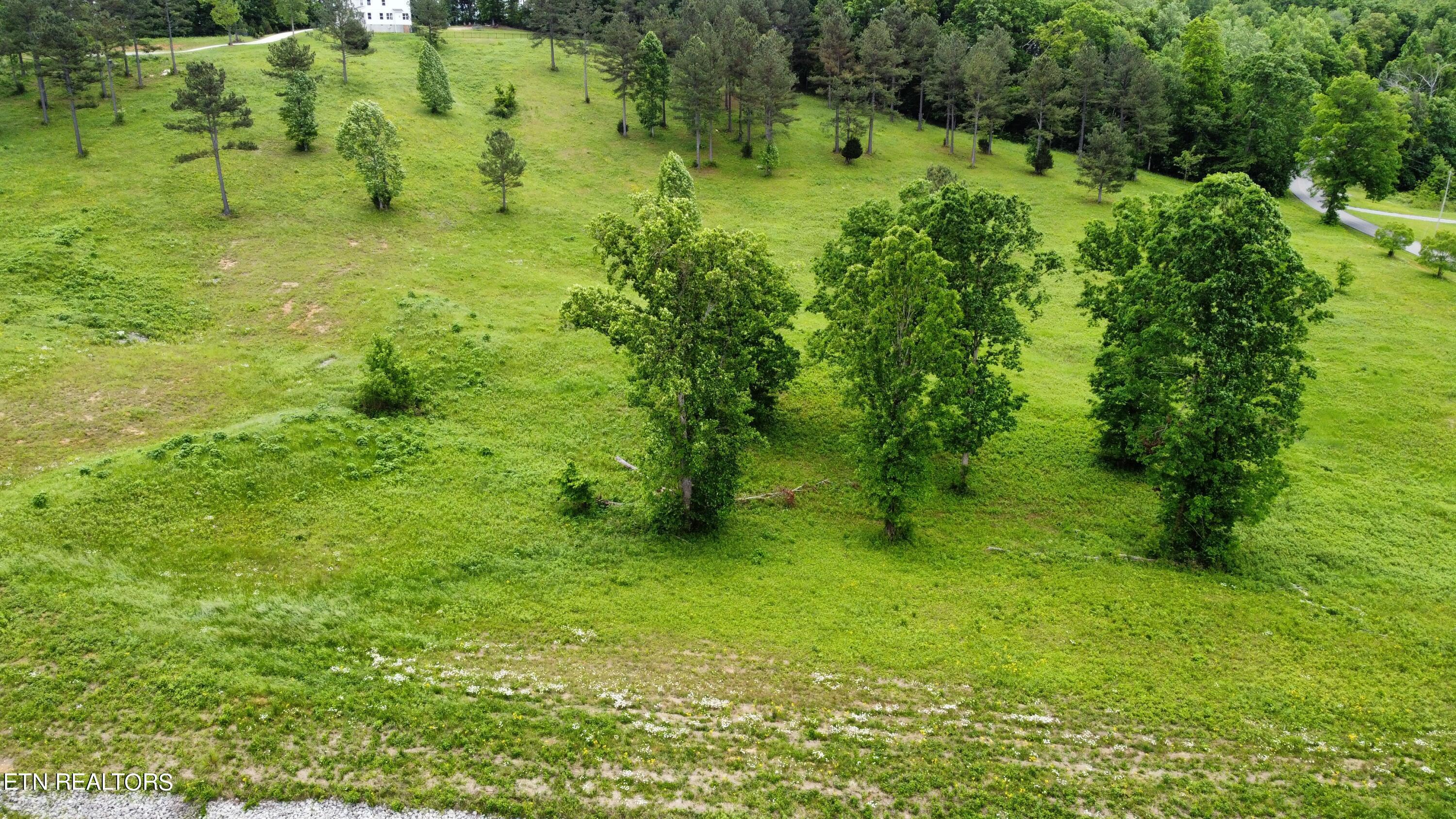 Fort Loudoun and Tellico Lake Real Estate - Image# 12