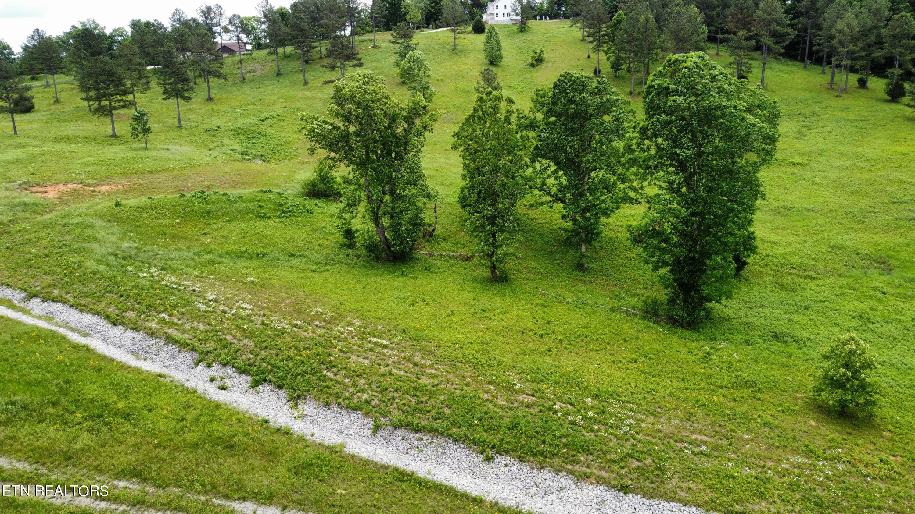 Fort Loudoun and Tellico Lake Real Estate - Image# 13