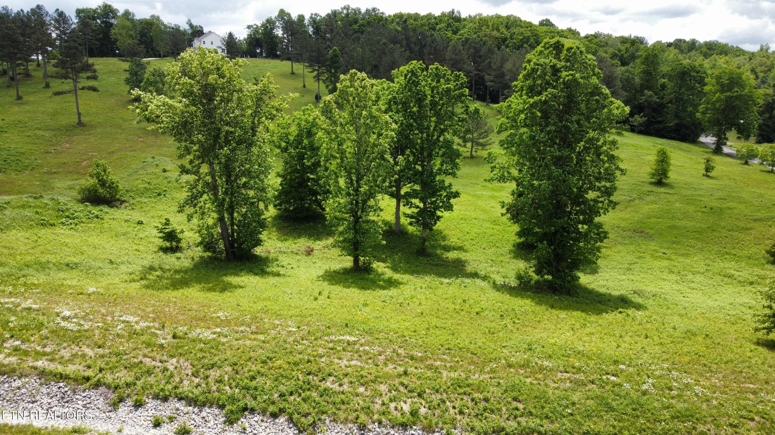 Fort Loudoun and Tellico Lake Real Estate - Image# 15