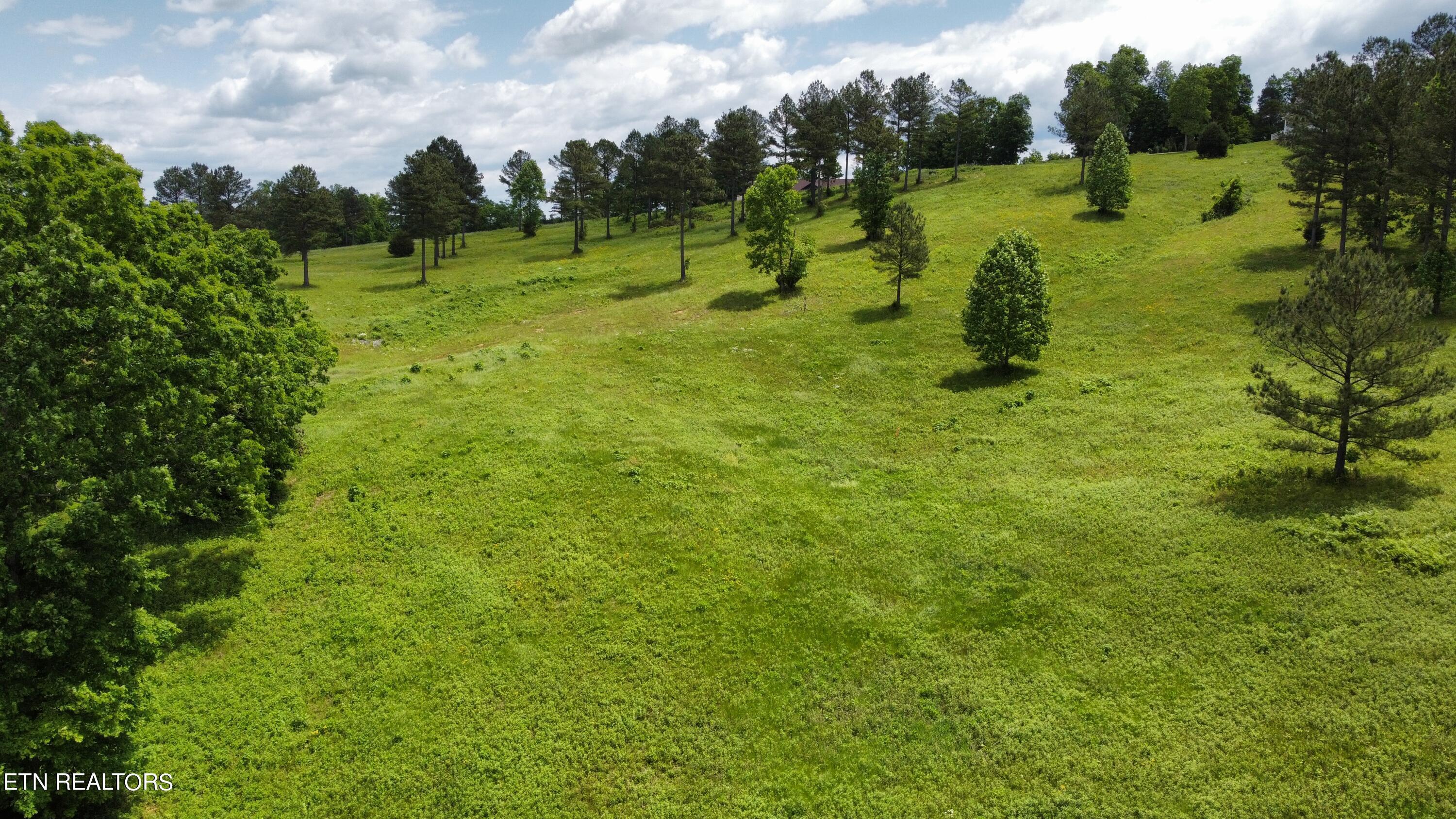 Fort Loudoun and Tellico Lake Real Estate - Image# 16