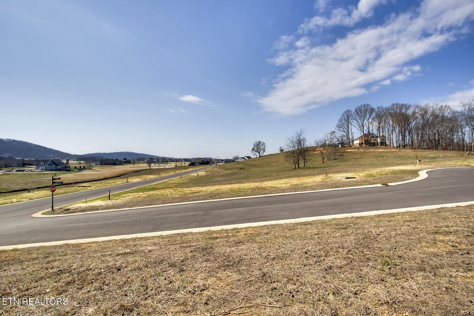 105 Silver Fox Way, Loudon, TN - Fort Loudoun and Tellico Lake Real Estate - Image# 11