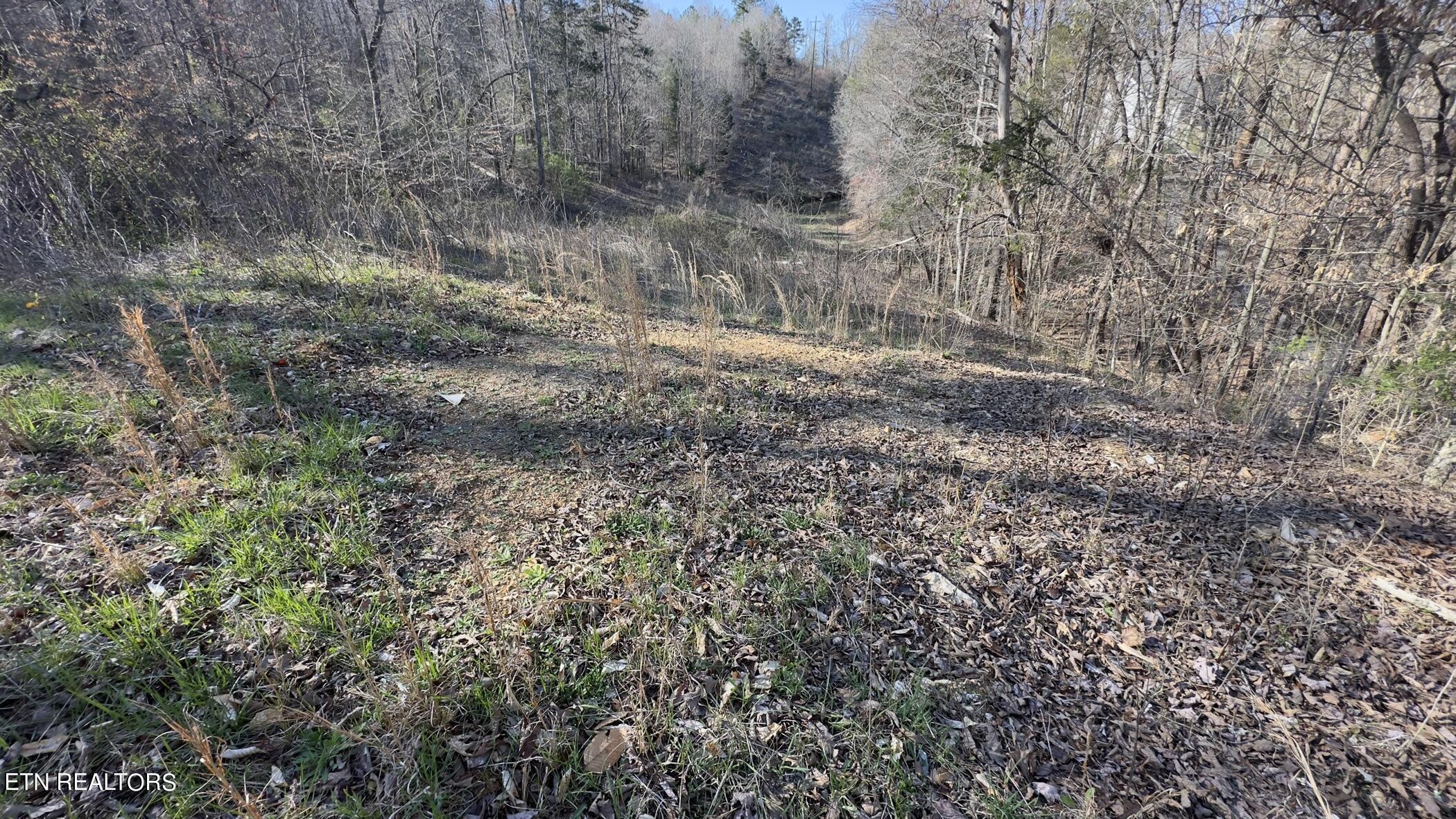 Fort Loudoun and Tellico Lake Real Estate - Image# 10