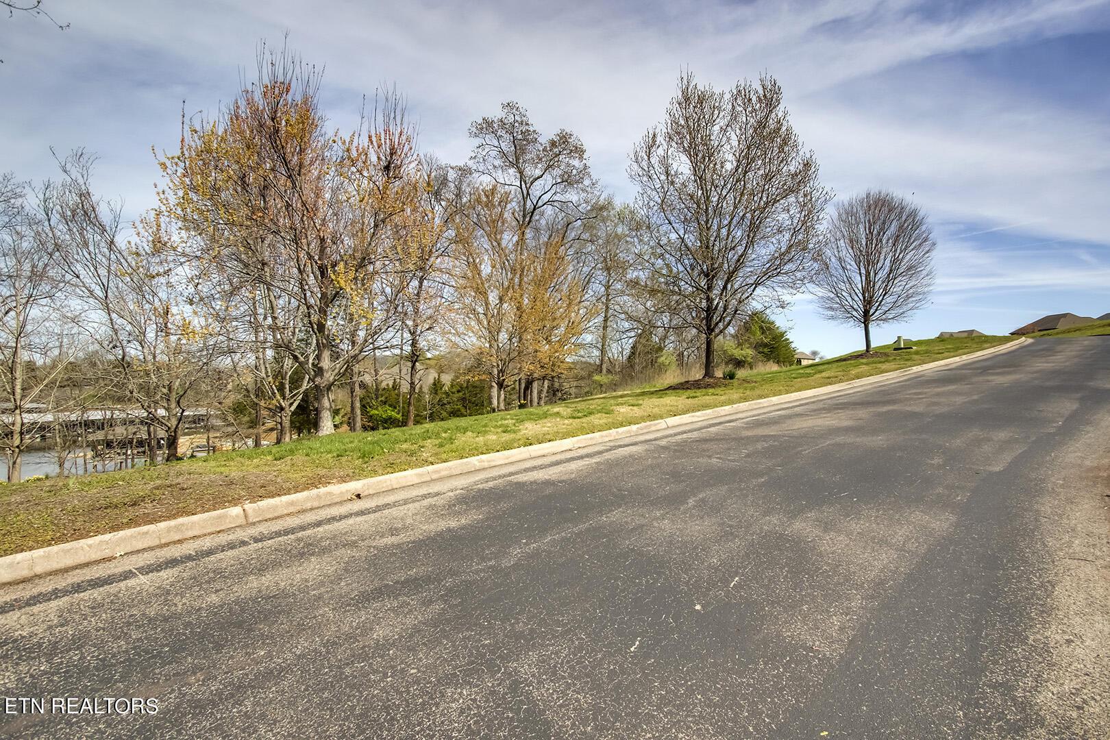 191 White Swan Drive, Vonore, TN - Fort Loudoun and Tellico Lake Real Estate - Image# 5