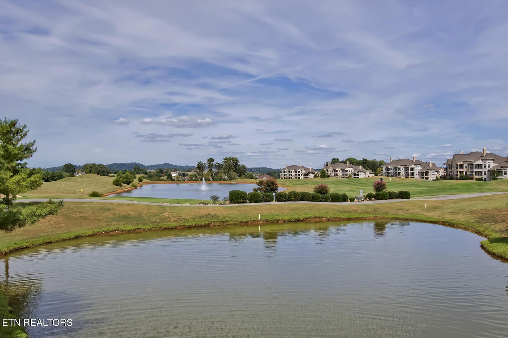 191 White Swan Drive, Vonore, TN - Fort Loudoun and Tellico Lake Real Estate - Image# 30