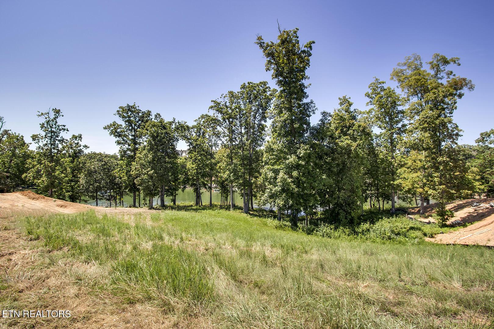 Fort Loudoun and Tellico Lake Real Estate - Image# 2