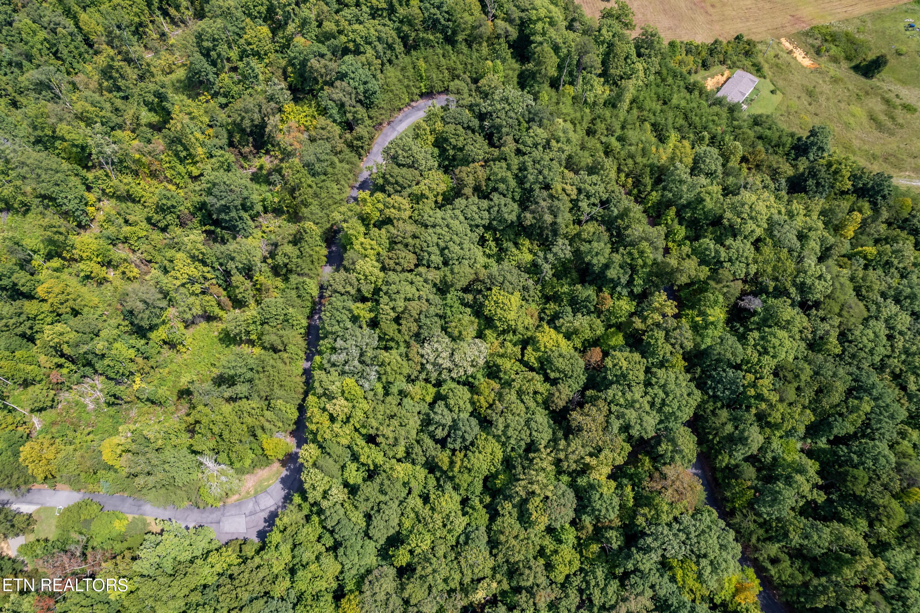 Fort Loudoun and Tellico Lake Real Estate - Image# 9