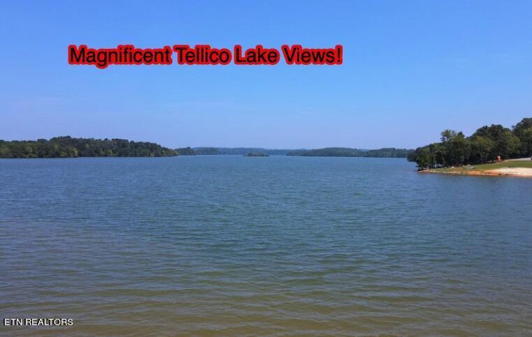 Fort Loudoun and Tellico Lake Real Estate - Image# 30