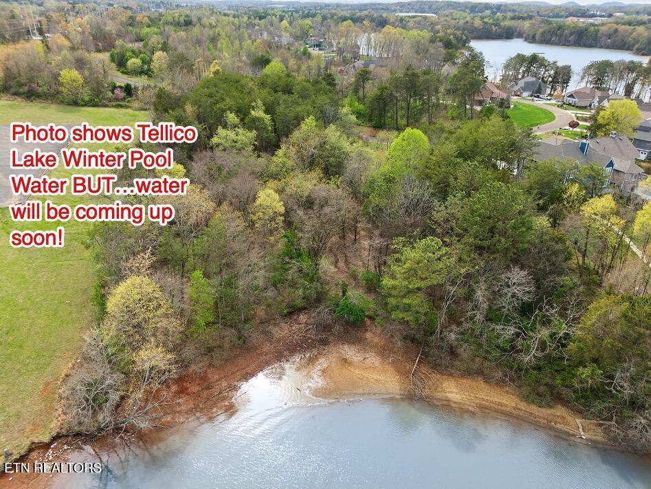 Fort Loudoun and Tellico Lake Real Estate - Image# 4