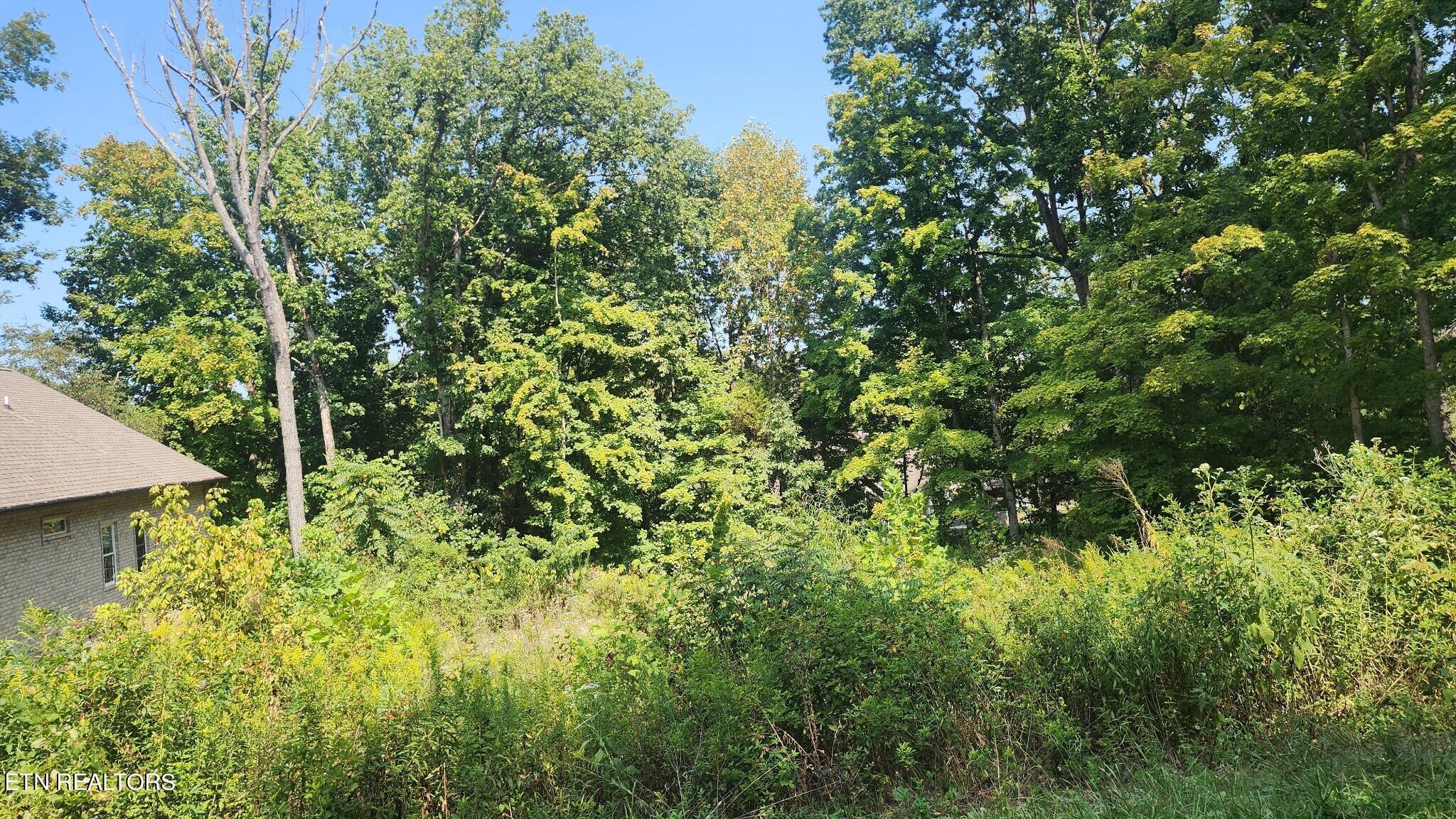 Fort Loudoun and Tellico Lake Real Estate - Image# 2